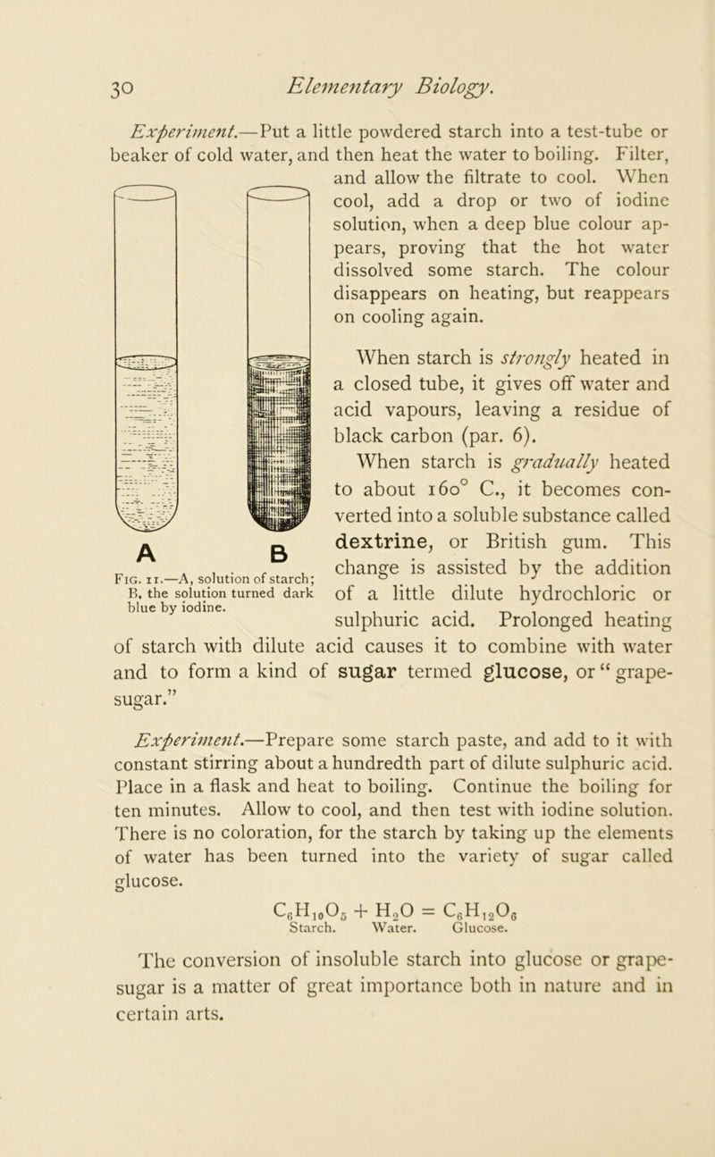 Experiment.—Put a little powdered starch into a test-tube or beaker of cold water, and then heat the water to boiling. Filter, and allow the filtrate to cool. When cool, add a drop or two of iodine solution, when a deep blue colour ap- pears, proving that the hot water dissolved some starch. The colour disappears on heating, but reappears on cooling again. When starch is strongly heated in a closed tube, it gives off water and acid vapours, leaving a residue of black carbon (par. 6). When starch is gradually heated to about i6o° C., it becomes con- verted into a soluble substance called dextrine, or British gum. This change is assisted by the addition of a little dilute hydrochloric or sulphuric acid. Prolonged heating of starch with dilute acid causes it to combine with water and to form a kind of sugar termed glucose, or “ grape- sugar.” Experiment.—Prepare some starch paste, and add to it with constant stirring about a hundredth part of dilute sulphuric acid. Place in a flask and heat to boiling. Continue the boiling for ten minutes. Allow to cool, and then test with iodine solution. There is no coloration, for the starch by taking up the elements of water has been turned into the variety of sugar called glucose. C6H10O5 + HoO = C6H1206 Starch. Water. Glucose. The conversion of insoluble starch into glucose or grape- sugar is a matter of great importance both in nature and in certain arts. A B Fig. ii.—A, solution of starch; B, the solution turned dark blue by iodine.