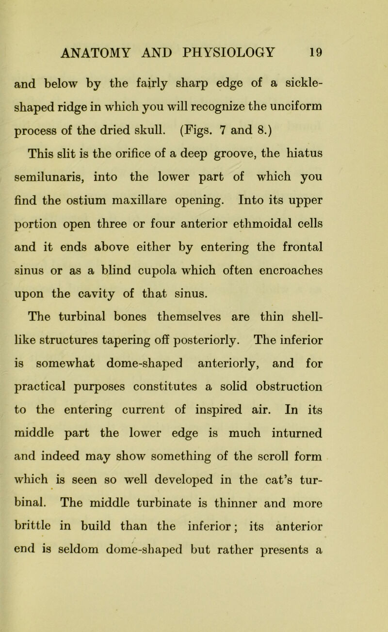 and below by the fairly sharp edge of a sickle- shaped ridge in which you will recognize the unciform process of the dried skull. (Figs. 7 and 8.) This slit is the orifice of a deep groove, the hiatus semilunaris, into the lower part of which you find the ostium maxillare opening. Into its upper portion open three or four anterior ethmoidal cells and it ends above either by entering the frontal sinus or as a blind cupola which often encroaches upon the cavity of that sinus. The turbinal bones themselves are thin shell- like structures tapering off posteriorly. The inferior is somewhat dome-shaped anteriorly, and for practical purposes constitutes a solid obstruction to the entering current of inspired air. In its middle part the lower edge is much inturned and indeed may show something of the scroll form which is seen so well developed in the cat’s tur- binal. The middle turbinate is thinner and more brittle in build than the inferior; its anterior end is seldom dome-shaped but rather presents a