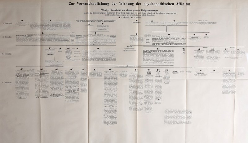 I. Generation: II. Generation: III. Generation: IV. Generation: Anscheinend noch i Hnlllgblnt. W e r f l g o n o 8 8 I n Ihres so früh dnhingosunkenon Gallen, den sie um mehr denn zwei Meuscheu- nller überlebte. Blnlsvcr w o n <11<• h n fl Ist sehr wahrscheinlich; Ihrer Lebensfähigkeit nach war -Io Ihrem Galten mehr nl- unähnlich, sie erreichte ein Alter von 97 Jahren, war bis zum letzten Monat vor dom Tode körperlich und geistig von erstaunlicher Rüstigkeit. Noch im 95. Jnhro legto sie ohne Stütze den Weg von Mnlenswerft nach Süderliörn über die Hallig zu Fuss zu- rück. Erst -I Wochen \ or dem Tode verliess die Greisin liir jugendfrlsclies Gedächtnis, durch das sie In der ganzen Hallig berühmt geworden. Mit lebhafter Frische erinnerte sie sich der entlegensten Dingo und Personen. Um so mehr fiel es den Hnlligbowoknern auf, dnes sie über ihren eigenen Gatten während Ihrer langen Witwonschoft niemals auch nnr eine Silbe verlauten liess. Ein ungelöstes Rätsel. Durchbrechung des Inzuc und des Ueberschussc ll Zur Veranschaulichung der Wirkung der psychopathischen Affinität. ■ „ i Winziger Ausschnitt aus einem grossen Halligstammbaum, welcher die Halligen: Langeness-Nordmarsch, Gröde, Oland, Habel, zum Teil auch Hooge umfasst und die grösseren friesischen und nichtfriesischen Nachbarinseln, sowie festländisches Gebiet einschliesst, ♦ = männlich. A - weiblich. ltprinzips infolge des Mangels an eingeborenen Männern s an Weibern. Zeichen der Auflösung der Rasse. ♦ ♦ Geistesschwach. Mutter des Taubstummen des Geisteskranken. Jung gestorben! ^ Heiratet Einzige Tochter. Rolnls Halligblut von Nordmarsoh. aulCrundder Starb bereits im 36. Lebensjahre, also nicht nacli ifcr Matter geartet, sondern nach ihrem gleichfalls so früh verstorbenen Psycbopathl- ALKOHOLIST, slnrb im A uflanZ Verlähmt“, ihre Knochen „ganz venvachzon. Konnte Jnlire lang vor Scbmerzeudie Glieder nicht bewegen. scben Attiniiät Daumen, doch stobt diese • ■ - Gehirnerkrankung, an det trinkeri - ist ein viel näh grndig erregbar und jeder totalen Erschöpfung. Du letz nicht mehr, nicht einmal Zustande nicht vorausgegnn Tode ...lochen „ganz verwachsen. Kc r ging bekanntlich an „schlimmem Bein“ zu Grunde. Ol) liier Tuberkulose, Gonorrhoe, ob Lues, deren bösartigste Form gerade um den Seeleuten aus China noch deu hclmlschan Gestaden importiert wird, wie mir selbst versichert wurde, ob eine Infektion anderer Art vorlag, oder ob sich das Leiden auf rein neurotische Einflüsse zurückfübreii lässt, ist heute schwor zu eut-cheldeu. Bicher l-t nur, dass sie überdies an einer Schweren .Melancholie litt, an der „Schwermutkrankheit“ sagt die Tochter. Oh diese Psychose rein funktioneller Natur war, oder wie in einem Fall auf Föhr und noch einem andern auf der Hnllig selbst, nur t u b er k u 1 ö s - i n f o k t i <> - o Prozesse in den Meningen zurückzuführen ist, das ist eine andere Frage. einen glelcher- massen belasteten Mann. heiratet lobt auf Nordinarsch, 48 Jahre alt, ist seit dom 12. Jahre augenkrnnk und leidet an STRABISMUS. I ♦ hat (vgl. Gross- vater mütter- licherseits, so- wie Vater) eben- falls eine Infek- tion, aber nicht aniBoin, sondern an der Hand. Näheres Ist nicht zu er- fahren. Diese batte stels eingewondert von der zwar gleichfalls friesischen, aber doch von den Halligen stark Isolierten Insel Föhr. ♦ stammt von Ockholm, also nicht von der Hnllig, sondern eine Kooge, doch lebt dort eine fast noch abgeschlossenere frlcslscl Inzuchtbevölkerung, die mit den Hnlligfrlosen aufs r verwandt ist. hat noch vier Brüder. Von Ihm, dem N Ich thnlllgnmnn, erbte also dloEnkollu (siehe unten) die auf der Hnllig ungewöhnliche Neigung zu Kiinben- geburton. z 1 g o izling. CO Jahren. Inllziorte sich durch einen Schnitt in den uktiou wohl kaum im Zusammenhang mit der Organischen zu Grrmle ging. Sein Aikoholismus — er war GelegenheltS- licgendes ätiologisches Moment. In den letzten Jahren hoch- stbeherrsohung bnr, wicli plötzlicli das Erregungsslndiuin einer i Winter geistig umnachtet, erkannte er die Menschen 3 eigenen Angehörigen. Eihmpoiiloktischer Insult war diesem n, sondern bildete den Beschluss, indem einige Tage vor dem Hemiplegie ihn für immer niederwarf. schwerhörig geworden! Tuberkulose! Ihre Mutter stnninuS von Hallig- (iröde, ihr Vntor ebenfalls von Ockholm, hat gleichfalls, obwohl mit ihrem Gatten nicht verwandt, Nase, und sie selb® Heiratet einen Gatten mit grosser Nase. Beide Gatten nicht blntsverl Haar neUbraun. Sehr grosso, gebogene, energische Naso, lang und wandt: folgten schmal. Sein Sohn, der „Nasonkönig“, übertriflt ihn noch: Kein Wnmler, da er jedocli dafür der „ ■ . , . d.ie Anln?° von beiden Eltern cumulatlv ererbte. Geisteskrank im Alter geworden. Cirkuläre Psychose. Auf ein psycho- melancholisches Stadium folgten maniakalische Erregungszustände I nathischen P°,ch sr,10int die Bnalj dieser Psychose seine von mir konstatiorte, ungewöhn- lich starke Arteriosklerose zu bilden. War bis zum Ausbruch seines Leidens Affinität .. 8e,lr intelligent und klug. Enorme absolute Schädelbreite: 172 mm und gleichzeitig sehr grosse -länge: 197 mm. L.-B.-l. 87,3 pCt. Macro- und Hyperbrachycephal! Starrköpfig, ah :r arheitstüchlig. Haar mattblond. Der Schädel zeichnet sich durch kolossale abBtl'ite Länge (195,6 mm) aus, die aber nicht auf Kosten der Breite erkauft ist. Da vielmehr die Breite ebenfalls einen hohen absoluten Wert dnr- bietet (158,6 mm), SO darf man sich nicht wundern, wenn der Schilde! trotz seiner Länge kein l.angschädel und trotz seiner Breite kein ausgeprägter „Kurzscliädol“ lennnht werden kann, dem Index nach vielmehr als kypobrachy- cephnl bezw. , iich mesnlycephal zu bezeichnen ist. L.-B.-I. = 81,1 pCt. Der Schädel ist alt o m a c r o - m e s o c e p h a 1, oder, wenn mau meinen Vorschlag anno nnen will, eury-dolicho-cephalj ein breiter Laugschädel. Er liat, von djer abuormeu Grösse des Schädels abgesehen, noch ein anderes Kreuzung. Heiratet auf Grund der psychopathischen Affinität t No. ♦ Bruder des Geisteskranken. taubstumm »ach Krankheit geworden, ist jetzt 72 Jahre alt, lebt In Schleswig. ♦ angeblich „guter Kopf. Aua dieser Ehe gehen vier Mädchen und nur ein Knabe hervor. Dio Mädchen sind obonoin sämtlich mit Dcgonorations- symptomon behaftet. die Tochter eines Geisteskranken und Nichte eines Taub- stummen, welche ihrerseits in der Gehirnentwicklung sehr zurückgeblieben und intellektuell auf niedriger Stufe sieht. Um so mehr hat diese Frau sich durch physische Fruchtbarkeit um die Mensch- heit fragliche Verdienste erworben, ja, sie hat sogar — von einer ein- zigen Tochter abgesehen — ein in der Insolfriesonwolt doppelt un- gewöhnlicher Fall — hintereinander durchweg Knaben gezeitigt, und darunter obenein Knaben mit mncrocepbnlcn Köpfen, doch sind letztere des Vaters Art; nach ihr sind die mit den mittelgrossen Köpfen geartet. Wie hochgradig belastet sie aber selbst Ist, und wlo ver- hänguisschwangore Keime sie folglich Ihren Knaben mit auf die Welt gab, veranschaulicht ein Blick auf ihre eigene Vorwandtscha ft. Die Neigung zu Knnbongeburten Ist nioht von der Halligsoite, sondern von dem Ockholmer Grossvntor ererbt, der seinerseits vier Brüder und keine einzige Schwester bosass. ^■No. Epi- lep- tisch Von den acht Kindern loben | fünf Knaben und ein Mädchen. -breite. L-B.-J. 94,5pCt. isooephal. Sie hat einen angedeuteten Bnckenbart und obenein Haare nuf der Stirn, mithin elno Dcgi'iieratloa tu dnppoliom Slam-, idmiml ehm Aberration mi« Ihrer Bässe, and dann aus Ihrem Gosclileclit. Audi die Stirn |m| eigentümlich gebaut, zeiui mohrfucho Knick ungen, mci«oliI ln Ihrer Bhono al> liolui Uohurgaug zurNnso Dan (IvNlehl l«-t hrelt und rot, die oberen Wangen «lud mit Haaren besät, die IiIm zur Stirn liluaufxlolien. Dio Ohren Mimt aullalleml klein, obwohl Ihr Vater und einige iu-«ctiwlHUir sogar Henkololiren reiten PuplUarrntB! derllnkcr- ’lt» gezackt Int, rocht« merk würdigerwelzo nicht. Idle Int ijlirlgen da- bei llirem CoiiHln ♦ No Über die« Mädolieii GuNiiglel Bol einer lielräclitlleh absoluten Breite eine nuflnllendo absolute, and daher stärker*0 re- I .Inlire alt Goldtiloud. I I,:. S . I, ä d e 11 ä n g e, IGL7 -hroile. 90,9 pCt. h perbrachycephal (sub socepbal). Ist I cm länger als [tea Schwester, aber ireiter, so dass der lunorhln sti-etIT er die lsoccphnllo und Ihre Grenze. hat f a absolute Brt 1 Die 8 Breite. En Die 11 n lilo Irls I dunkelblaue 1 dafür koli wie bol de ■ Pupille hu tot slol I die . und auch dio te Ist sehr ähnlich. mittlerer trügt ein Inkromion. Ist rosawelss. einen schmalen, Anssenrand, aber 1 breite Mitlelzonc Igendoil Schwester, rand Ist grau und kugllgen Sinns ls rings hinein. ne Sonnambulel r B r .1 d e v und stimm dir 11 it 12 Jnhro all. Rothaarig. Schädel ISO mm lang, 155,8 mm breit. 8G,SpCt., untere Grenze der H y p e r b r n 0 h y c e p li a 1 I e. also ist ihr Schädel Inugcr als hoi beiden älteren Schwestern, und zwar absolut und relativ, da auch die absolute Breite etwas kleiner Ist als bei I und 2, namentlich aber als bei 2. Die Nase trägt im Gegensatz zur Schwester kein Endakromion. Per Nnseu-Stiruühergnng bildet ungefähr einen Winkel von 16S. Ule Stirn ist miltulbrelt. Dio Haut Ist blass und minder frisch als bei der 2. Schwester. Das Auge schmal, dunkelblauer Anssenrand, golbslroiilgos Irisstronia. l’upillarrnud hell- grau. Hat nicht ihrer Schwester Auge, 9 Jnhro nl*. Das Haar zeigt bei genauer Befrachtung dref ver- schiedene Nuancen: In der Sclicitelrcgion rötlich, rechts strohgelb, links woissgelb. 14,6 S c It ä llä sonder U c c. li wist e eigenen Geschwister. Oer Sonnambulismus ist bei Ihr noch hochgradiger als bei der Schwester. 157,8 -breite. 90,14 pCt., hyperbrachyoephal (subi60cephal). Der Nnseu-Stirnwinkcl beträgt etwa 175. Die Stirn trägt Narben! und Sommersprossen. Der neunjährige hnt also einen erheblich grösseren Schädel als dio älteste 16jährige Schwester, aber einen relativ und absolut übereinstimmenden Schädel mit der 14jährigen. Vergi. dort. (Eine solche absolute und relative Uebereinstlmmung der Schädel zwischen zwei ßeschwlstern kommt sehr selten vor.) Wenn man froilich den Alters- unterschied berücksichtigt, so bat der Junge einen grösseren Schädel als die 5 Jahre allere Schwester. Auge: blauer Ausscnrand, Hell- grauer Pupillnrraud. Blaue Streifen durchziehen den weissen Ist frei von Sounnmbulismus. Darin also stimmt er nicht mit der Schwester überein. At: Spricht aus dom Schlafe, wandelt aber nicht um- her wie die Schwestern. Ver- dächtig ist frei- lich das Sclilaf- reden auch schon, und mau / Imt allen Grund. > liier gleichfalls die Anlagen zum Sonnaro- b ul Ismus oder verwoudteu epileptoiden Leiden zu ver- mutou, um so mehr, als die sonnaiiibulen Schwestern In deu anfalls- freien Zelten ebenfalls jede Nacht aus dem Schlnfe reden. A 1. 1-1 Jahre alt. ) Hat das Auge eines in diesem Stammbnum nicht registrierten Vetters. Haar blond. Hel der I cephalomelrisriion Messung war I sie nicht zugegen, macht ii ' ^No. 12 Jahre alt. 89,8 pCt. L.-B.-I- hyperbrachyoephal. Schädel 180,8 lang, IG7,I breit. In der absoluten Schädclhreite übertrilTl er also selbst des Vaters Kopf noch um 1 cm, lür die Breite ein beträchtlicher Unter- schied, in der Länge ist des Sohnes Schädel dafür um eben- soviel kürzer als der des Vaters, so dass der Schädel im Ganzen ungefähr den gleichen Umfang haben dürfte, und eben- falls als macrooephni, aber nicht als breiter Lang-, sondern als luittellanger enormer Breit- schädel zu betrachten ist. Die Neigung z Mai brachycepiialie ist ererbt vom Gross- vater1) mütterlicher- seits, dem oben beschriebenen Geisteskranken. 10 Jahre eit. L.-B.-I. 8 4,7 p C t. brachy 0 e p h a i. Schädel Itlffllaug, I G 1 ,8 b ijel t. Die absolute Scliidellünge ist grösser als beim ällosten Bruder, kleiner als beim Vater, die Breite dagegeu grösser alz helni Vnlor kleiner nls belr.. Bruder, der Kopf . Sohnes nimmt Mittelstellung zwis dien dem des Vaters und des Sohnes st fall che ; A111 ein s p n t - e i n pflogt (Modellen bekommen erst mit ISJnlircn die Menses)! Hier in dieser Familie scheint aber eine besondere Veran- lagung für Bartwuchs zu bestellen, da doch selbst ein Mädchen, dio 16jährigo isocephnle Cousine, einen Bnckenbart besitzt, wieviel eher daun orst ein Knabe! Seine absolute Schädel breite ist so gross als_ dio absolute Schädellänge oben dieser Cousine in 111111 beträgt. Welch' ein Kontrast ln der Grösse dos Schädels I Henkelohren wie sein Vater. Dio Ohren zeigen auch sonst noch elno auffallende Deformi- tät. — Das Hnuptbnar ist etwas duuklerals der flachsblonde Bart. Hiuterbauptsnusladnng ist trotz des hyper- brnchyoopUnion Index - n d 0 n, ’ ' • chocephnl. I die Mutter nicht kann man nicht vielleicht den Scliäi i_. geerbt hit. Die Oli re 11 sinii stellend, aber ulch Hin ist bei dieser , . natürlich vorhnni - nicht aulfa! leud. Die Hnut ist frei sprossen, gelliwois weiss durchschein- Das Auge hat eil . mit gelbem Pui Dio Inngllch- eIngebogene nicht entschiede 1 werden. olu . Län im Wido Die Gesichtshaut zeigt ln der Intraorbitalrogion und den Nnsenseiten ver- einzelte Sommersprossen, nicht dichtgosät wie bei Albinos. Das blaue Augo hnt einen dunkel- blauen Aussen- und einen gelben Pupillenrand, und stimmt voll- kommen mit der Irls der Cousine ♦ No. 1 überein. r y d o 1 i- •U leider ngen, ob er der Mutter 8 Jahre alt. 92,3 pC t. Isocephal Schädel 175,8 lang, 102,3 breit. Der Schädel Ist be- deutend kleiner als bei den Brüdern. Da jodocli dio tiliuo- lute Breite enorm gross geblieben ist, ja sogar die des Vaters ud(I 2. Bruders übertriflT, so ist der Schädel immerhin noch ziemlich gross und widerlegt ebenfalls dio 90,3 pCt. L.-B.-L Hyper; b» «by- (subisocephal) Schädel 177 mm laug ' c-it nh- Sominer- 11 Gesicht, blaue Iris Illenrand. i£ss b. te Symp- a 11 f der 11 Lues zu Stelle Mlorocep halle. Bel der 10jährigen Cousine fehlt nicht viel darau, liier aber jener extremen Kopflänge der Brüder, scheint klein im Rahmen der Ge- schwister, au sich aber kann er seiner grossen absoluten Schädelbreite eine reiche Compcn- sation danken be- züglich der Grösse des Kopfes über- Daa Baa’r ist mattblond. Das Auge konnte wegen der Leb- haftigkeit des Knaben leider nicht aufgenommeu werden, ist aber ebenfalls hell. Hier wird auch dio Breite schon kleiner, dennoch ist die Breite noch immer so beträchtlich, dass an Micro- ccphnlie gar nicht zu deukeu ist. Ausserdem ja auch der Schädel nicht gerade viel Rücksicht nimmt auf das Lebens- alter, doch ein wenig dies be- rücksichtigen. Für das klnd- lloho Alter ist der Schädel nicht klein. Der Cousin ♦No. 4, und die Cousine A No. 2 haben den Index mit diesem ihrem Vetter gemein. brachy- cophal. Schädel 175,8 mm lang 155,G mm breit Hat die absolute Läuge von No. 4, die absolute Breite von 5, deu Index von No. 2. nur von No. 8 hat er garulchts. 0 f „verlähmt“ (spinale Kinder- lähmung 7 f 11 Tussis Kreuzung vermählt mit k No, Junge Wlltwo eines nu Tuberkulose goslorbeuon Fest- länder», hnt von diesem einen luburknlÖHon Knaben, der nn tuberkulöser Kniegelenken (Zündung leidet. Dieser Knabe Ist sehr empfindlich, furchtsam, aber nach Aussage des Lehrers begabt. Brelto Stirn. Der „Nuscnkönig, lobt nur Hallig Nordinarschl Er wird Im ganzen Frlesonlnml ho ((lullert: Brille von beiden Eltern uud schon von den Grosseltorn niütterllcliersolls die Disposition zur groHso 11, hingen, Nase: Lang und schmal Ist aber nicht nur sollte Nase, sondern auch sein Gesicht. Er litt an Pleuritis, 1ml sehr blass gelbliche Gesichtsfarbe und plillslsclien Habitus. tu borkulös, hut diu hektische llöio der l'htlsikor lind Ist andauernd lungenleidend mit Fieber. Auch li I< Kreuzung holrntot -- Es Ist nicht ein 111:11 gewiss, oli er Friese Ist. Er hat nicht den friesischen] Typus, nicht« von den charakteristischen Zügen, dio den liiselfrlesen aiifgedrnckl sind. Ist nach der Aussngo eines altliuwährion Arzles au Gehirnlcldcn im Aller von I Jahr gestorben: Enkel des Geisteskranken. 8 Jnlire alt. Schädel 17 7 null I n n g, 150,7 mm li r e i I, b-II I. 85,14 pCt. brachycephal, hat nicht die Miicrocephnllo. seines Grossvnlors geerbt, auch der Index Ist etwas niedriger. A 11 ge hlniigrnu, Puplllarranjl diiiikolgrflligrnu, doch zeigen! «loh feine gelbe Pünktchen Ji Von seinen vier Schwestern Ist die vorjüngsle der Grenze dos Innen Aiisscnraitdcs. — O h ■nussig, relativ gross, wen oder gnrnlcht abstehend, Stirn iiiässig hrelt, ger und von mittlerer Höhe. - Gesicht schmal. Haut Gesicht und auf der Flächt dos breiten Nasenrückens dicken Sommersprossen bedi Sonst Ist die Haut blnsswe durchscheinend (am Vorderarm) Ha olssblo uifrulleiK klefer Iritt stark 1 Oberkiefer zurück, so dass t IJppeii gnrnlcht zu sehen hü i ') Den besten Beweis, d as s jene M acroccph al Io, oder wie Virchow slo auch bezeichnet, (JophalonIe, nioht nllgomoin den Hall Igfricsen ei ged, vielmehr lediglich dieser Familie, und zwar o10 Erbto11 nur dieses einen, balbblütigon Geisteskranken, llefort cinVergleichniitdonGeschwistorkludorusub. ♦No. I, die zwar ziemlich beträchtliche absolutoBr eiten, aber dafür Im Vergleich zu ihren beiden Vollem sehr minimale absolute Längen hoben, also keine Spur jener Macroccpbalie. Und dns rührt eiufoch daher, dass jene nicht von dem macrocophalen Orossvater wie diese abstammon. Letzterer Ist aber Ockholmer Blut, ln wie weit die Mncrocephal 1 o mit seiner Geisteskrankheit Zusammenhang!, soll an anderer Stelle erörtert werden. Sieber Ist, dass Macro- cophalie oft ebonso stark li 1 orn u f E I n f I u e 9 üb t a I s Mlcrocephnlio. In beiden Fällen Ist dieser Einfluss nur ein indirekter.