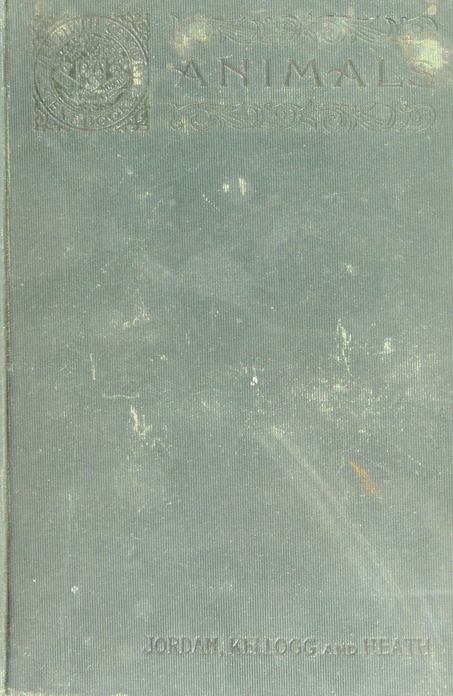 No text description is available for this image