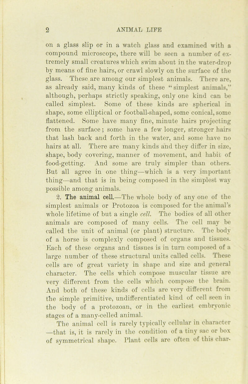 on a glass slip or in a watch glass and examined with a compound microscope, there will be seen a number of ex- tremely small creatures which swim about in the water-drop by means of fine hairs, or crawl slowly on the surface of the glass. These are among our simplest animals. There are, as already said, many kinds of these “ simplest animals,” although, perhaps strictly speaking, only one kind can be called simplest. Some of these kinds are spherical in shape, some elliptical or football-shaped, some conical, some flattened. Some have many fine, minute hairs projecting from the surface; some have a few longer, stronger hairs that lash hack and forth in the water, and some have no hairs at all. There are many kinds and they differ in size, shape, body covering, manner of movement, and habit of food-getting. And some are truly simpler than others. But all agree in one thing—which is a very important thing—and that is in being composed in the simplest way possible among animals. 2. The animal cell.—The whole body of any one of the simplest animals or Protozoa is composed for the animal's whole lifetime of but a single cell. The bodies of all other animals are composed of many cells. The cell may be called the unit of animal (or plant) structure. The body of a horse is complexly composed of organs and tissues. Each of these organs and tissues is in turn composed of a large number of these structural units called cells. These cells are of great variety in shape and size and general character. The cells which compose muscular tissue are very different from the cells which compose the brain. And both of these kinds of cells are very different from the simple primitive, undifferentiated kind of cell seen in the body of a protozoan, or in the earliest embryonic stages of a many-celled animal. The animal cell is rarely typically cellular in character —that is, it is rarely in the condition of a tiny sac or box of symmetrical shape. Plant cells are often of this char-