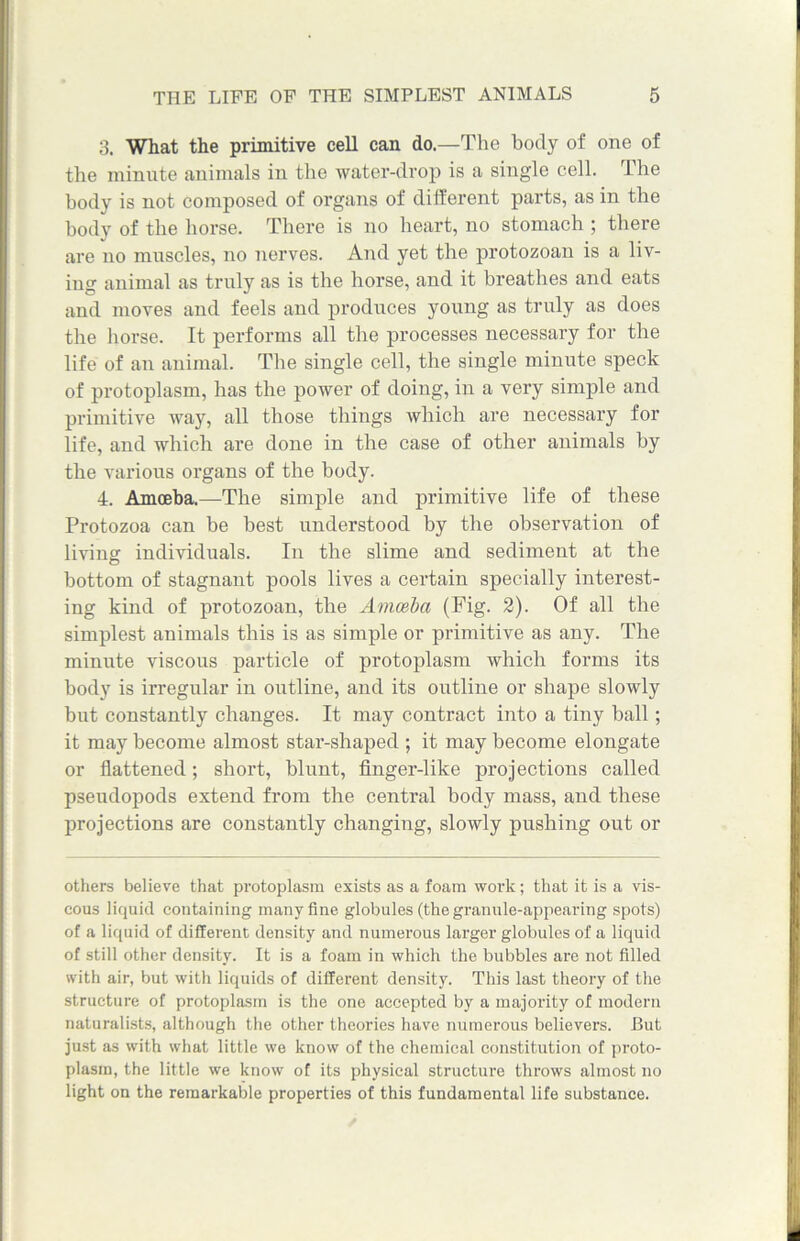 3. What the primitive cell can do.—The body of one of the minute animals in the water-drop is a single cell. The body is not composed of organs of different parts, as in the body of the horse. There is no heart, no stomach ; there are no muscles, no nerves. And yet the protozoan is a liv- ing animal as truly as is the horse, and it breathes and eats and moves and feels and produces young as truly as does the horse. It performs all the processes necessary for the life of an animal. The single cell, the single minute speck of protoplasm, has the power of doing, in a very simple and primitive way, all those things which are necessary for life, and which are done in the case of other animals by the various organs of the body. 4. Amoeba.—The simple and primitive life of these Protozoa can be best understood by the observation of living individuals. In the slime and sediment at the bottom of stagnant pools lives a certain specially interest- ing kind of protozoan, the Amceba (Fig. 2). Of all the simplest animals this is as simple or primitive as any. The minute viscous particle of protoplasm which forms its body is irregular in outline, and its outline or shape slowly but constantly changes. It may contract into a tiny ball; it may become almost star-shaped ; it may become elongate or flattened; short, blunt, finger-like projections called pseudopods extend from the central body mass, and these projections are constantly changing, slowly pushing out or others believe that protoplasm exists as a foam work; that it is a vis- cous liquid containing many fine globules (the granule-appearing spots) of a liquid of different density and numerous larger globules of a liquid of still other density. It is a foam in which the bubbles are not filled with air, but with liquids of different density. This last theory of the structure of protoplasm is the one accepted by a majority of modern naturalists, although the other theories have numerous believers. But just as with what little we know of the chemical constitution of proto- plasm, the little we know of its physical structure throws almost no light on the remarkable properties of this fundamental life substance.