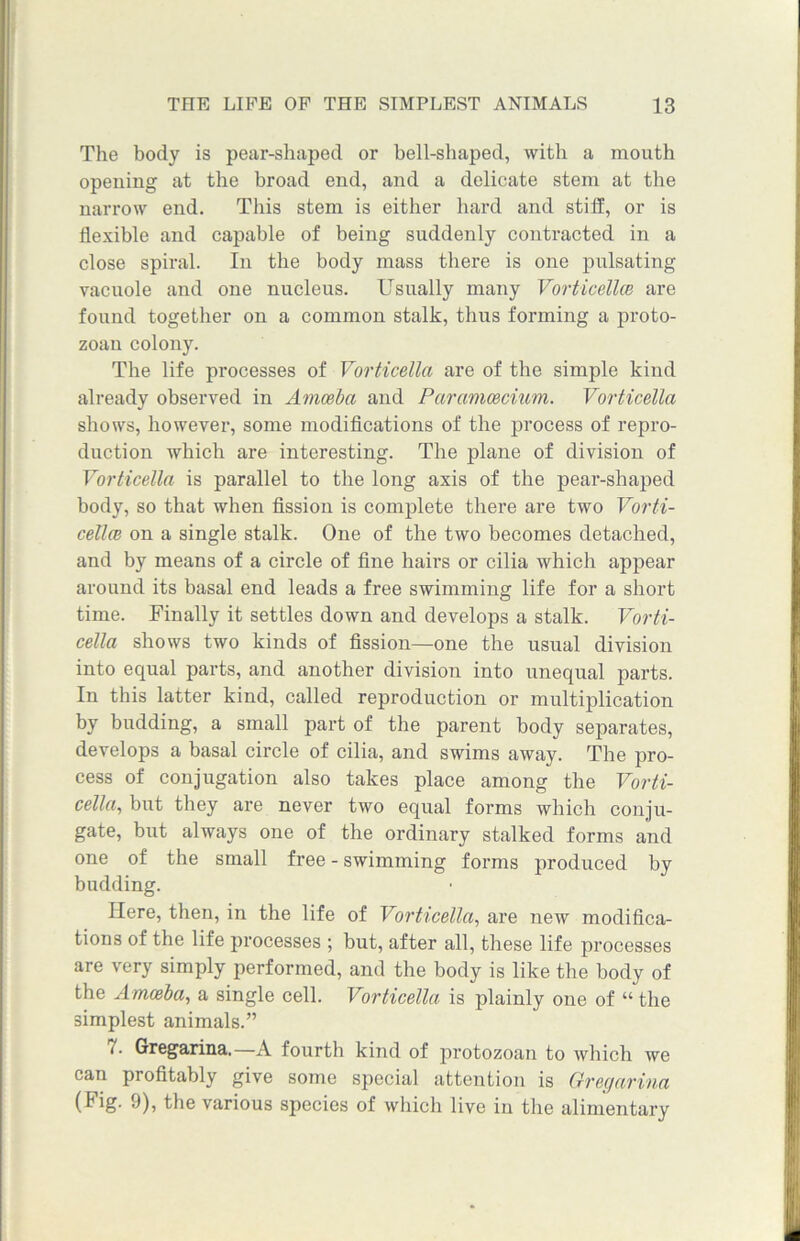 The body is pear-shaped or bell-shaped, with a mouth opening at the broad end, and a delicate stem at the narrow end. This stem is either hard and stiff, or is flexible and capable of being suddenly contracted in a close spiral. In the body mass there is one pulsating vacuole and one nucleus. Usually many Vorticellce are found together on a common stalk, thus forming a proto- zoan colony. The life processes of Vorticella are of the simple kind already observed in Amoeba and Paramcecium. Vorticella shows, however, some modifications of the process of repro- duction which are interesting. The plane of division of Vorticella is parallel to the long axis of the pear-shaped body, so that when fission is complete there are two Vorti- cellce on a single stalk. One of the two becomes detached, and by means of a circle of fine hairs or cilia which appear around its basal end leads a free swimming life for a short time. Finally it settles down and develops a stalk. Vorti- cella shows two kinds of fission—one the usual division into equal parts, and another division into unequal parts. In this latter kind, called reproduction or multiplication by budding, a small part of the parent body separates, develops a basal circle of cilia, and swims away. The pro- cess of conjugation also takes place among the Vorti- cella, but they are never two equal forms which conju- gate, but always one of the ordinary stalked forms and one of the small free - swimming forms produced by budding. Here, then, in the life of Vorticella, are new modifica- tions of the life processes ; but, after all, these life processes are very simply performed, and the body is like the body of the Amoeba, a single cell. Vorticella is plainly one of “ the simplest animals.” 7. Gregarina.—A fourth kind of protozoan to which we can profitably give some special attention is Gregarina (Fig. 9), the various species of which live in the alimentary