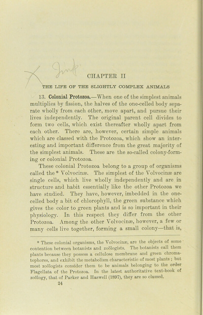 CHAPTER II THE LIFE OF THE SLIGHTLY COMPLEX ANIMALS 13. Colonial Protozoa.—When one of the simplest animals multiplies by fission, the halves of the one-celled body sepa- rate wholly from each other, move apart, and pursue their lives independently. The original parent cell divides to form two cells, which exist thereafter wholly apart from each other. There are, however, certain simple animals which are classed with the Protozoa, which show an inter- esting and important difference from the great majority of the simplest animals. These are the so-called colony-form- ing or colonial Protozoa. These colonial Protozoa belong to a group of organisms called the * Volvocinae. The simplest of the Volvocinae are single cells, which live wholly independently and are in structure and habit essentially like the other Protozoa we have studied. They have, however, imbedded in the one- celled body a bit of chlorophyll, the green substance which gives the color to green plants and is so important in their physiology. In this respect they differ from the other Protozoa. Among the other Volvocinae, however, a few or many cells live together, forming a small colony—that is, * These colonial organisms, the Volvocinae, are the objects ot some contention between botanists and zoologists. The botanists call them plants because they possess a cellulose membrane and green chroma- tophores, and exhibit the metabolism characteristic of most plants ; but most zoologists consider them to be animals belonging to the order Flagellata of the Protozoa. In the latest authoritative text-book of zoology, that of Parker and Haswell (1897), they are so classed.