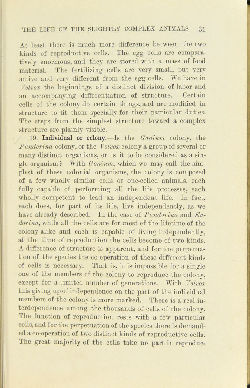 At least there is much more difference between the two kinds of reproductive cells. The egg cells are compara- tively enormous, and they are stored with a mass of food material. The fertilizing cells are very small, but very active and very different from the egg cells. We have in Volvox the beginnings of a distinct division of labor and an accompanying differentiation of structure. Certain cells of the colony do certain things, and are modified in structure to fit them specially for their particular duties. The steps from the simplest structure toward a complex structure are plainly visible. 19. Individual or colony.—Is the Gonium colony, the Pandorina colony, or the Volvox colony a group of several or many distinct organisms, or is it to be considered as a sin- gle organism? With Gonium, which we may call the sim- plest of these colonial organisms, the colony is composed of a few wholly similar cells or one-celled animals, each fully capable of performing all the life processes, each wholly competent to lead an independent life. In fact, each does, for part of its life, live independently, as we have already described. In the case of Pandorina and Eu- dorina, while all the cells are for most of the lifetime of the colony alike and each is capable of living independently, at the time of reproduction the cells become of two kinds. A difference of structure is apparent, and for the perpetua- tion of the species the co-operation of these different kinds of cells is necessary. That is, it is impossible for a single one of the members of the colony to reproduce the colony, except for a limited number of generations. With Volvox this giving up of independence on the part of the individual members of the colony is more marked. There is a real in- terdependence among the thousands of cells of the colony. The function of reproduction rests with a few particular cells, and for the perpetuation of the species there is demand- ed a co-operation of two distinct kinds of reproductive cells. The great majority of the cells take no part in reproduc-