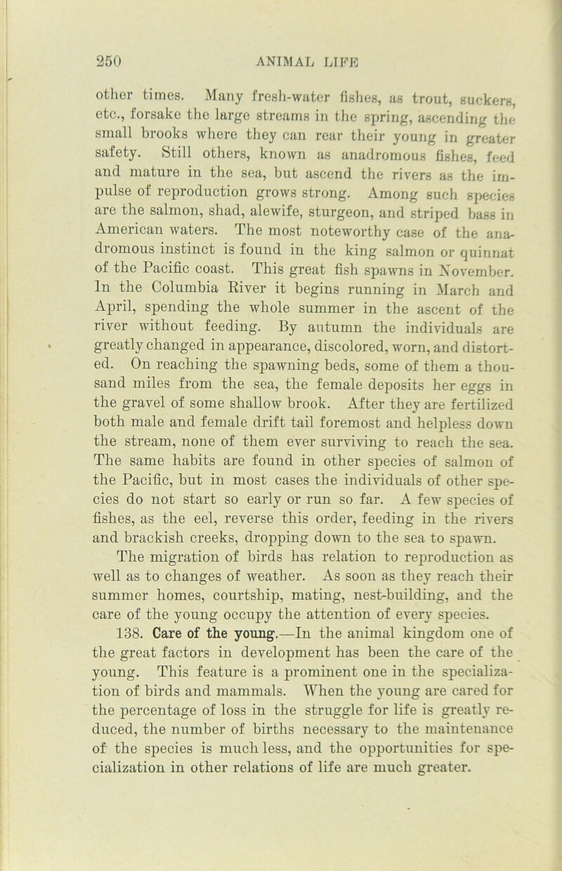 other times. Many fresh-water fishes, as trout, suckers, etc., forsake the large streams in the spring, ascending the small brooks where they can rear their young in greater safety. Still others, known as anadromous fishes, feed and mature in the sea, but ascend the rivers as the im- pulse of reproduction grows strong. Among such species are the salmon, shad, alewife, sturgeon, and striped bass in American waters. The most noteworthy case of the ana- dromous instinct is found in the king salmon or quinnat of the Pacific coast. This great fish spawns in Xovember. In the Columbia River it begins running in March and April, spending the whole summer in the ascent of the river without feeding. By autumn the individuals are greatly changed in appearance, discolored, worn, and distort- ed. On reaching the spawning beds, some of them a thou- sand miles from the sea, the female deposits her eggs in the gravel of some shallow brook. After they are fertilized both male and female drift tail foremost and helpless down the stream, none of them ever surviving to reach the sea. The same habits are found in other species of salmon of the Pacific, but in most cases the individuals of other spe- cies do not start so early or run so far. A few species of fishes, as the eel, reverse this order, feeding in the rivers and brackish creeks, dropping down to the sea to spawn. The migration of birds has relation to reproduction as well as to changes of weather. As soon as they reach their summer homes, courtship, mating, nest-building, and the care of the young occupy the attention of every species. 138. Care of the young.—In the animal kingdom one of the great factors in development has been the care of the young. This feature is a prominent one in the specializa- tion of birds and mammals. When the young are cared for the percentage of loss in the struggle for life is greatly re- duced, the number of births necessary to the maintenance of the species is much less, and the opportunities for spe- cialization in other relations of life are much greater.