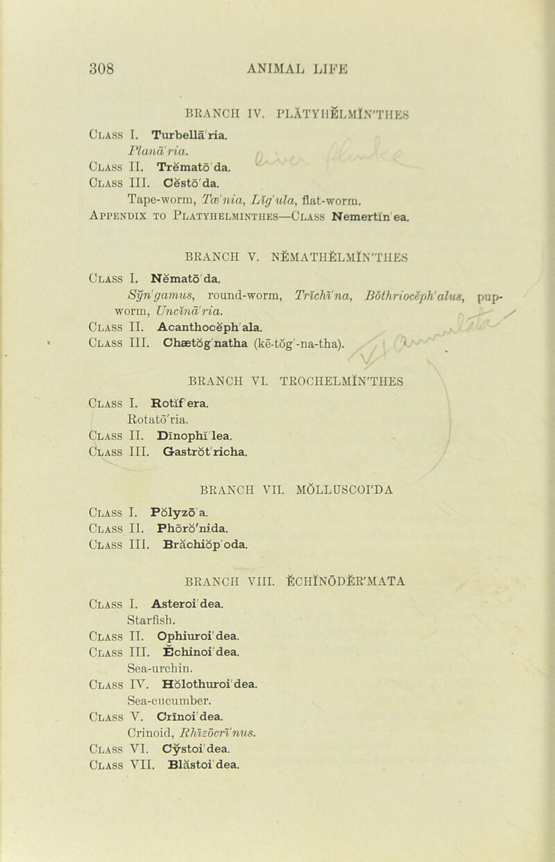 BRANCH IV. PLATVHBLMIN'THES Class I. TurbeUaria. Plana'ria. Class II. Tremato da. Class III. Cesto'da. Tape-worm, Tcc'nia, Lig’ula, flat-worm. Appendix to Platyhelminthes—Class Nemertln ea. BRANCH V. NEMATHELMIN'TIIES Class I. Nemato da. Syn'gamus, round-worm, Trichina, Bothrioceph'alus, pup- worm, TJncinalria. Class II. Acanthoceph ala. Class III. Chaetog natha (ke-tog'-na-tha). BRANCH VI. TROCHELMlN’TIIES Class I. Rotlf era. Rotato'ria. Class II. Dlnophi lea. Class III. Gastrot'richa. BRANCH VII. MOLLDSCOI'DA Class I. Polyzo a. Class II. Phoro'nida. Class III. Brachiop'oda. BRANCH VIII. ECHINODfiR'MATA Class I. Asteroi dea. Starfish. Class II. Ophiuroi'dea. Class III. Echinoi dea. Sea-urchin. Class IV. Holothuroi dea. Sea-cucumber. Class V. Crlnoi'dea. Crinoid, RMzocri'nus. Class VI. Cystoi dea. Class VII. Blastoi dea.