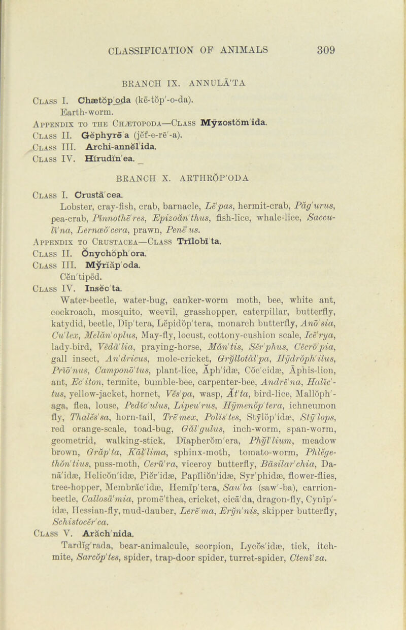 BRANCH IX. ANN ULA'TA Class I. ChsetSp_oda (ke-top'-o-da). Earth-worm. Appendix to the Ch;etopoda—Class Myzostomida. Class II. Gephyre a (jef-e-re-a). Class III. Archi-annelida. Class IV. Hirudin'ea. BRANCH X. ARTHROP'ODA Class I. Crusta cea. Lobster, cray-fish, crab, barnacle, Le'pas, hermit-crab, Pag'urus, pea-crab, Pinnothe'res, Epizoan' thus, fish-lice, whale-lice, Saccu- It'nci, Lernced'cera, prawn, Peneus. Appendix to Crustacea—Class Trilobi ta. Class II. Onychoph ora. Class III. Myriap oda. Cen'tiped. Class IV. Insec ta. Water-beetle, water-bug, canker-worm moth, bee, white ant, cockroach, mosquito, weevil, grasshopper, caterpillar, butterfly, katydid, beetle, Dip'tera, Lepidop'tera, monarch butterfly, And'sia, Cu'lex, Meltin'oplus, May-fly, locust, cottony-cushion scale, Ice'rya, lady-bird, Vedd'lia, praying-horse, Man'tis, Ser'phus, Cecro'pia, gall insect, An'dricus, mole-cricket, Gryllotal'pa, Hydroph'ilus, Pno'nus, Campond'tus, plant-lice, Aph'idae, Coc'cidm, Aphis-lion, ant, Ec’iton, termite, bumble-bee, carpenter-bee, Andre!na, Halic!- tus, yellow-jacket, hornet, Vespa, wasp, At la, bird-lice, Malloph'- aga, flea, louse, Pedic'ulus, Lipeu'rus, Hymenop ter a, ichneumon fly, Thales'sa, horn-tail, Tre'mex, Polis'tes, Sty lop'idee, Sty'lops, red orange-scale, toad-bug, Gdl'gulus, inch-worm, span-worm, geometrid, walking-stick, DIapherom'era, Phyl’lium, meadow brown, Grap'ta, Kul'lima, sphinx-moth, tomato-worm, Phlege- thon'tius, puss-moth, Ceru'ra, viceroy butterfly, Basilar'chia, Da- na'id®, Helicon'idie, Pier'idai, Papilion'idic, Syr'phidie, flower-flies, tree-hopper, Membrac'idas, Hemip'tera, Sau'ha (saw'-ba), carrion- beetle, Callosa'mia, prome'thea, cricket, cica'da, dragon-fly, Cynlp'- id:e, Hessian-fly, mud-dauber, Lerema, Eryn'nis, skipper butterfly, Schistocer’ca. Class V. Arach'nida. Tardlg'rada, bear-animalcule, scorpion, Lycos'ida1, tick, itch- mite, Sarcdp'tes, spider, trap-door spider, turret-spider, Cteni'za.