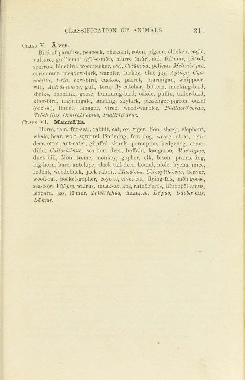 Class V. A’ves. Bird-of-paradise, peacock, pheasant, robin, pigeon, chicken, eagle, vulture, guil'lemot (gil'-e-mot), murre (mttr), auk, fulmar, pet'rel, sparrow, bluebird, woodpecker, owl, Colum'ba, pelican, Melaner'pes, cormorant, meadow-lark, warbler, turkey, blue jay, Ay thy a, Cya- nocitta, Uria, cow-bird, cuckoo, parrot, ptarmigan, whippoor- will, Antros'tomus, gull, tern, fly-catcher, bittern, mocking-bird, shrike, bobolink, goose, humming-bird, oriole, puffin, tailor-bird, king-bird, nightingale, starling, skylark, passenger-pigeon, ouzel (ooz’-el), linnet, tanager, vireo, wood-warbler, Phalacro'corax, Truch ilus, Ornithot'omus, Psaltrlp' cirus. Class VI. Mamma lia. Horse, ram, fur-seal, rabbit, cat, ox, tiger, lion, sheep, elephant, whale, bear, wolf, squirrel, lem'ming, fox, dog, weasel, stoat, rein- deer, otter, ant-eater, giraffe', skunk, porcupine, hedgehog, arma- dillo, CallorM'nus, sea-lion, deer, buffalo, kangaroo, Mdc'ropus, duck-bill, Mon'otreme, monkey, gopher, elk, bison, prairie-dog, big-horn, hare, antelope, black-tail deer, hound, mole, hyena, mice, rodent, woodchuck, jack-rabbit, Maca'cus, Cercopith'ecus, beaver, wood-rat, pocket-gopher, coyo'te, civet-cat, flying-fox, inon'goose, sea-cow, Vul'pes, walrus, musk-ox, ape, rhinoc'eros, hippopot'amus, leopard, ass, le'rnur, Trlcli echus, manatee, Le'pus, Odubui'nus, Lemur.