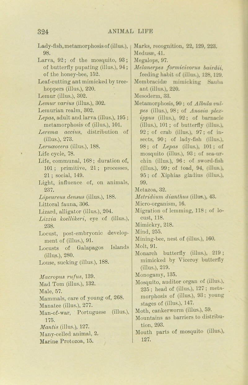 Lady-fish, metamorphosis of (illus.), 98. Larva, 92; of the mosquito, 93; of butterfly pupating (illus.), 94; of the honey-bee, 152. Leaf-cutting ant mimicked by tree- hoppers (illus.), 220. Lemur (illus.), 302. Lemur varius (illus.), 302. Lemurian realm, 302. Lepas, adult and larva (illus.), 195 ; metamorphosis of (illus.), 101. Lerema accius, distribution of (illus.), 273. Lernoeocera (illus.), 188. Life cycle, 78. Life, communal, 168; duration of, 101; primitive, 21; processes, 21; social, 149. Light, influence of, on animals, 237. Lipeureus densus (illus.), 188. Littoral fauna, 306. Lizard, alligator (illus.), 204. Lizzia koellikeri, eye of (illus.), 238. Locust, post-embryonic develop- ment of (illus.), 91. Locusts of Galapagos Islands (illus.), 280. Louse, sucking (illus.), 188. Macropus rufus, 139. Mad Tom (illus.), 132. Male, 57. Mammals, care of young of, 268. Manatee (illus.), 277. Man-of-war, Portuguese (illus.), 175. Mantis (illus.), 127. Many-celled animal, 2. Marine Protozoa, 15. Marks, recognition, 22, 129, 223. Medusa}, 41. Megalops, 97. Melanerpes formicivorus bairdii. feeding habit of (illus.), 128,129. Membraeidffi mimicking Sauba ant (illus.), 220. Mesoderm, 33. Metamorphosis, 90; of Albula wi- pes (illus.), 98; of Anosia plex- ipjpus (illus.), 92: of barnacle (illus.), 101; of butterfly (illus.), 92; of crab (illus.), 97; of in- sects, 90; of lady-fish (illus.), 98; of Lepas (illus.), 101; of mosquito (illus.), 93; of sea-ur- chin (illus.), 96: of sword-fish (illus.), 99; of load, 94, (illus.), 95; of Xiphias gladius (illus.), 99. Metazoa, 32. Metridium dianthus (illus.), 43. Micro-organism, 16. Migration of lemming, 118 ; of lo- cust, 118. Mimickry, 218. Mind, 255. Mining-bee, nest of (illus.), 160. Molt, 91. Monarch butterfly (illus.), 219 ; mimicked by Viceroy butterfly (illus.), 219. Monogamy, 135. Mosquito, auditor organ of (illus.). 235 ; head of (illus.), 127; meta- morphosis of (illus.), 93; young stages of (illus.), 147. Moth, cankerworm (illus.), 59. Mountains as barriers to distribu- tion, 293. Mouth parts of mosquito (illus.), 127.