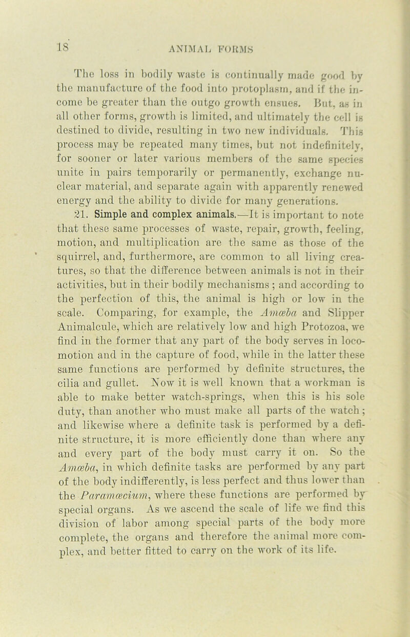 IS The loss in bodily witste is continually made good by the manufacture of the food into protoplasm, and if the in- come be greater than the outgo growth ensues. But, as in all other forms, growth is limited, and ultimately the cell is destined to divide, resulting in two new individuals. This process may be repeated many times, but not indefinitely, for sooner or later various members of the same species unite in pairs temporarily or permanently, exchange nu- clear material, and separate again with apparently renewed energy and the ability to divide for many generations. 21. Simple and complex animals.—It is important to note that these same processes of waste, repair, growth, feeling, motion, and multiplication are the same as those of the squirrel, and, furthermore, are common to all living crea- tures, so that the difference between animals is not in their activities, but in their bodily mechanisms ; and according to the perfection of this, the animal is high or low in the scale. Comparing, for example, the Amoeba and Slipper Animalcule, which are relatively low and high Protozoa, we find in the former that any part of the body serves in loco- motion and in the capture of food, while in the latter these same functions are performed by definite structures, the cilia and gullet. Now it is well known that a workman is able to make better watch-springs, when this is his sole duty, than another who must make all parts of the watch; and likewise where a definite task is performed by a defi- nite structure, it is more efficiently done than where any and every part of the body must carry it on. So the Amoeba, in which definite tasks are performed by any part of the body indifferently, is less perfect and thus lower than the Paramcecium, where these functions are performed by special organs. As we ascend the scale of life we find this division of labor among special parts of the body more complete, the organs and therefore the animal more com- plex, and better fitted to carry on the work of its life.