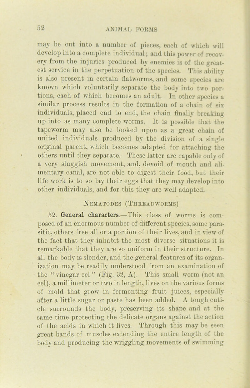may bo cut into a number of pieces, each of which will develop into a complete individual; and this power of recov- ery from the injuries produced by enemies is of the great- est service in the perpetuation of the species. This ability is also present in certain flatworms, and some species are known which voluntarily separate the body into two por- tions, each of which becomes an adult. In other species a similar process results in the formation of a chain of six individuals, placed end to end, the chain finally breaking up into as many complete worms. It is possible that the tapeworm may also be looked upon as a great chain of united individuals produced by the division of a single original parent, which becomes adapted for attaching the others until they separate. These latter are capable only of a very sluggish movement, and, devoid of mouth and ali- mentary canal, are not able to digest their food, but their life work is to so lay their eggs that they may develop into other individuals, and for this they are well adapted. Nematodes (Threadworms) 52. General characters.—This class of worms is com- posed of an enormous number of different species, some para- sitic, others free all or a portion of their lives, and in view of the fact that they inhabit the most diverse situations it is remarkable that they are so uniform in their structure. In all the body is slender, and the general features of its organ- ization may he readily understood from an examination of the “vinegar eel” (Fig. 32, A). This small worm (not an eel), a millimeter or two in length, lives on the various forms of mold that grow in fermenting fruit juices, especially after a little sugar or paste has been added. A tough cuti- cle surrounds the body, preserving its shape and at the same time protecting the delicate organs against the action of the acids in which it lives. Through this may be seen great hands of muscles extending the entire length of the body and producing the -wriggling movements of swimming