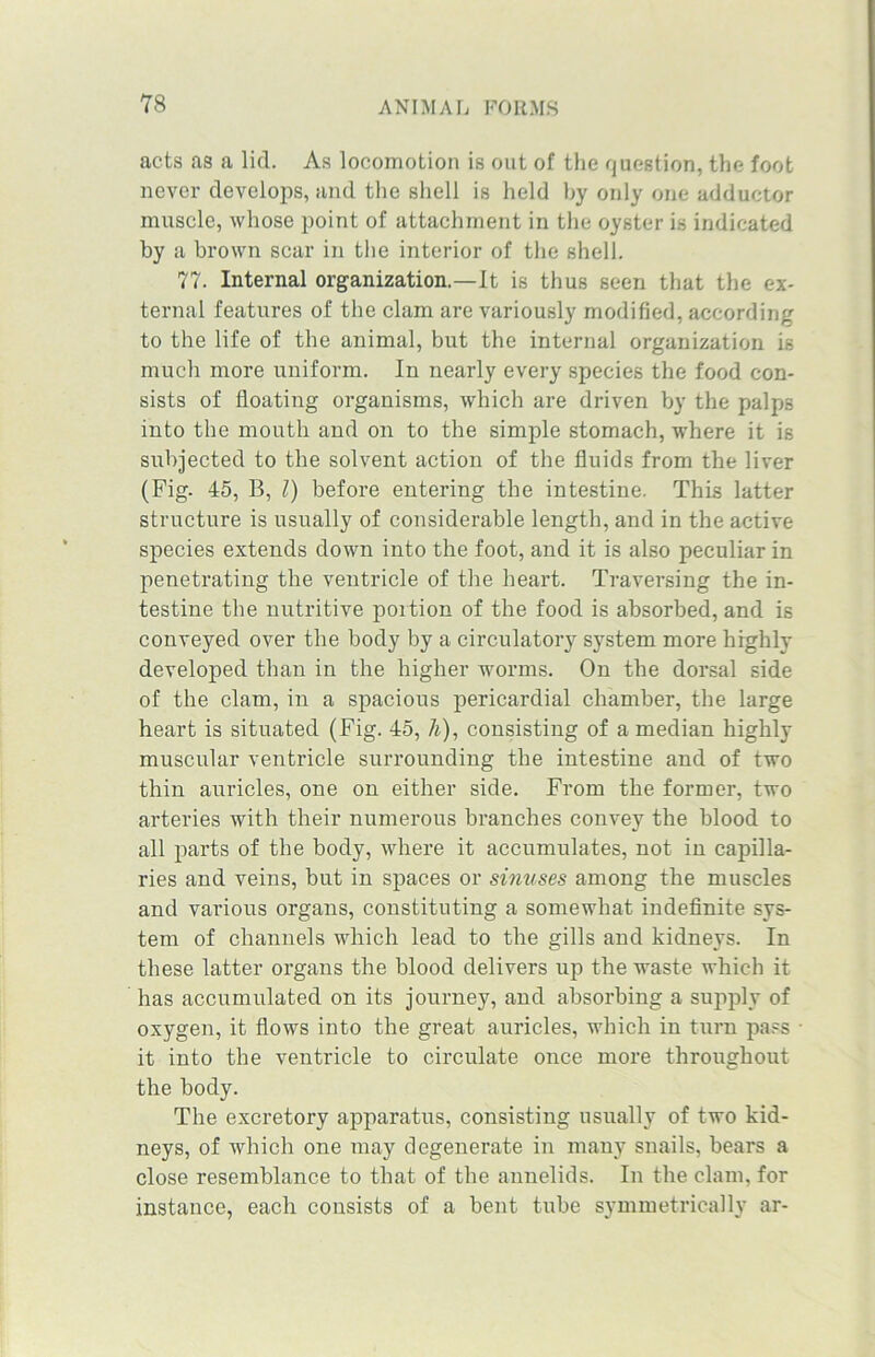 acts as a lid. As locomotion is out of the question, the foot never develops, and the shell is held by only one adductor muscle, whose point of attachment in the oyster is indicated by a brown scar in the interior of the shell. 77. Internal organization.—It is thus seen that the ex- ternal features of the clam are variously modified, according to the life of the animal, but the internal organization is much more uniform. In nearly every species the food con- sists of floating organisms, which are driven by the palps into the mouth and on to the simple stomach, where it is subjected to the solvent action of the fluids from the liver (Fig. 45, B, l) before entering the intestine. This latter structure is usually of considerable length, and in the active species extends down into the foot, and it is also peculiar in penetrating the ventricle of the heart. Traversing the in- testine the nutritive portion of the food is absorbed, and is conveyed over the body by a circulatory system more highly developed than in the higher worms. On the dorsal side of the clam, in a spacious pericardial chamber, the large heart is situated (Fig. 45, li), consisting of a median highly muscular ventricle surrounding the intestine and of two thin auricles, one on either side. From the former, two arteries with their numerous branches convey the blood to all parts of the body, where it accumulates, not in capilla- ries and veins, but in spaces or sinuses among the muscles and various organs, constituting a somewhat indefinite sys- tem of channels which lead to the gills and kidneys. In these latter organs the blood delivers up the waste which it has accumulated on its journey, and absorbing a supply of oxygen, it flows into the great auricles, which in turn pass it into the ventricle to circulate once more throughout the body. The excretory apparatus, consisting usually of two kid- neys, of which one may degenerate in many snails, bears a close resemblance to that of the annelids. In the clam, for instance, each consists of a bent tube symmetrically ar-