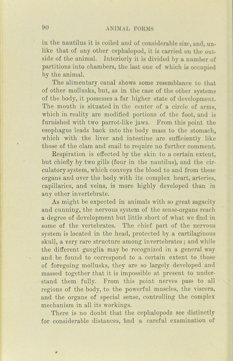 in the nautilus it is coiled and of considerable size, and, un- like that of any other cephalopod, it is carried on the out- side of the animal. Interiorly it is divided by a number of partitions into chambers, the last one of which is occupied by the animal. The alimentary canal shows some resemblance to that of other mollusks, but, as in the case of the other systems of the body, it possesses a far higher state of development. The mouth is situated in the center of a circle of arm.-, which in reality are modified portions of the foot, and is furnished with two parrot-like jaws. From this point the esophagus leads back into the body mass to the stomach, which with the liver and intestine are sufficiently like those of the clam and snail to require no further comment. Respiration is effected by the skin to a certain extent, but chiefly by two gills (four in the nautilus), and the cir- culatory system, which conveys the blood to and from these organs and over the body with its complex heart, arteries, capillaries, and veins, is more highly developed than in any other invertebrate. As might be expected in animals with so great sagacity and cunning, the nervous system of the sense-organs reach a degree of development but little short of what we find in some of the vertebrates. The chief part of the nervous system is located in the head, protected by a cartilaginous skull, a very rare structure among invertebrates; and while the different ganglia may be recognized in a general way and be found to correspond to a certain extent to those of foregoing mollusks, they are so largely developed and massed together that it is impossible at present to under- stand them fully. From this point nerves pass to all regions of the body, to the powerful muscles, the viscera, and the organs of special sense, controlling the complex mechanism in all its workings. There is no doubt that the cephalopods see distinctly for considerable distances, find a careful examination of