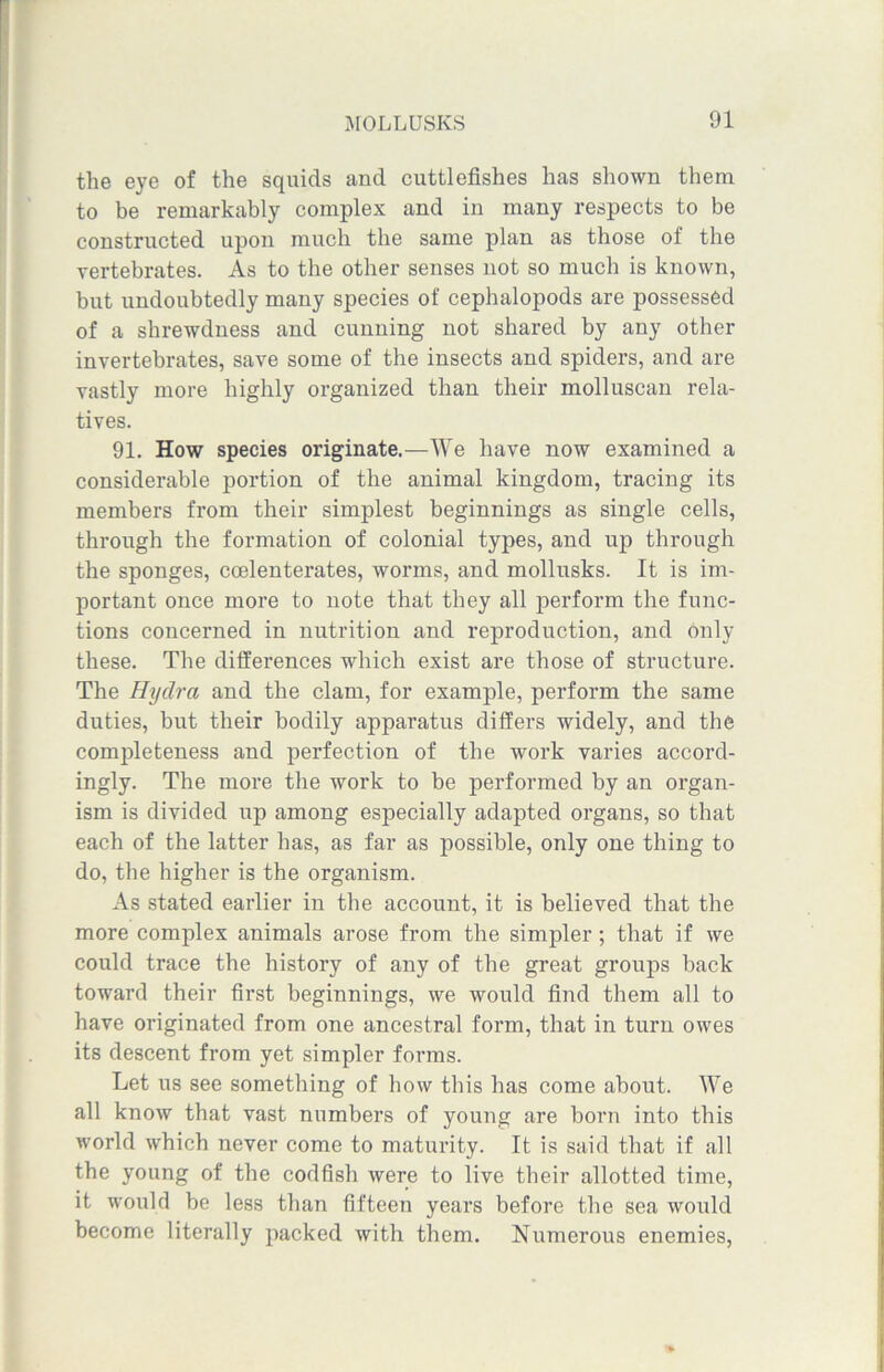 the eye of the squids and cuttlefishes has shown them to be remarkably complex and in many respects to be constructed upon much the same plan as those of the vertebrates. As to the other senses not so much is known, but undoubtedly many species of cephalopods are possessed of a shrewdness and cunning not shared by any other invertebrates, save some of the insects and spiders, and are vastly more highly organized than their molluscan rela- tives. 91. How species originate.—We have now examined a considerable portion of the animal kingdom, tracing its members from their simplest beginnings as single cells, through the formation of colonial types, and up through the sponges, coelenterates, worms, and mollusks. It is im- portant once more to note that they all perform the func- tions concerned in nutrition and reproduction, and only these. The differences which exist are those of structure. The Hyclra and the clam, for example, perform the same duties, but their bodily apparatus differs widely, and the completeness and perfection of the work varies accord- ingly. The more the work to be performed by an organ- ism is divided up among especially adapted organs, so that each of the latter has, as far as possible, only one thing to do, the higher is the organism. As stated earlier in the account, it is believed that the more complex animals arose from the simpler; that if we could trace the history of any of the great groups back toward their first beginnings, we would find them all to have originated from one ancestral form, that in turn owes its descent from yet simpler forms. Let us see something of how this has come about. We all know that vast numbers of young are born into this world which never come to maturity. It is said that if all the young of the codfish were to live their allotted time, it would be less than fifteen years before the sea would become literally packed with them. Numerous enemies,