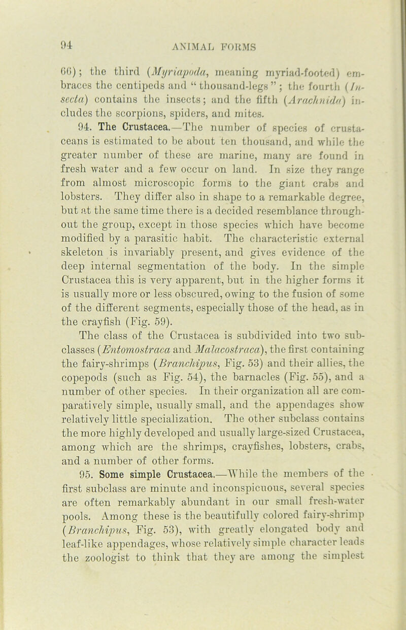 0(5); the third (Myriapmla, meaning myriad-footed) em- braces the centipeds and “thousand-legs”; the fourth (//<- sccta) contains the insects; and the fifth (.Arachnidn) in- cludes the scorpions, spiders, and mites. 94. The Crustacea.—The number of species of crusta- ceans is estimated to be about ten thousand, and while the greater number of these are marine, many are found in fresh water and a few occur on land. In size they range from almost microscopic forms to the giant crabs and lobsters. They differ also in shape to a remarkable degree, but at the same time there is a decided resemblance through- out the group, except in those species which have become modified by a parasitic habit. The characteristic external skeleton is invariably present, and gives evidence of the deep internal segmentation of the body. In the simple Crustacea this is very apparent, but in the higher forms it is usually more or less obscured, owing to the fusion of some of the different segments, especially those of the head, as in the crayfish (Fig. 59). The class of the Crustacea is subdivided into two sub- classes (Entomostraca and Malacostraca), the first containing the fairy-shrimps (Branchipus, Fig. 53) and their allies, the copepods (such as Fig. 54), the barnacles (Fig. 55), and a number of other species. In their organization all are com- paratively simple, usually small, and the appendages show relatively little specialization. The other subclass contains the more highly developed and usually large-sized Crustacea, among which are the shrimps, crayfishes, lobsters, crabs, and a number of other forms. 95. Some simple Crustacea.—While the members of the first subclass are minute and inconspicuous, several species are often remarkably abundant in our small fresh-water pools. Among these is the beautifully colored fairy-shrimp (Branchipus, Fig. 53), with greatly elongated body and leaf-like appendages, whose relatively simple character leads the zoologist to think that they are among the simplest