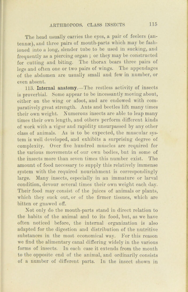 The head usually carries the eyes, a pair of feelers (an- tenna?), ami three pairs of mouth-parts which may be fash- ioned into a long, slender tube to be used in sucking, and frequently as a piercing organ ; or they may be constructed for cutting and biting. The thorax bears three pairs of legs and often one or two pairs of wings. The appendages of the abdomen are usually small and few in number, or even absent. 113. Internal anatomy.—The restless activity of insects is proverbial. Some appear to be incessantly moving about, either on the wing or afoot, and are endowed with com- paratively great strength. Ants and beetles lift many times their own weight. Numerous insects are able to leap many times their own length, and others perform different kinds of work with a vigor and rapidity unsurpassed by any other class of animals. As is to be expected, the muscular sys- tem is well developed, and exhibits a surprising degree of complexity. Over five hundred muscles are required for the various movements of our own bodies, but in some of the insects more than seven times this number exist. The amount of food necessary to supply this relatively immense system with the required nourishment is correspondingly large. Many insects, especially in an immature or larval condition, devour several times their own weight each day. Their food may consist of the juices of animals or plants, which they suck out, or of the firmer tissues, which are bitten or gnawed off. Not only do the mouth-parts stand in direct relation to the habits of the animal and to its food, but, as we have often noticed before, the internal organization is also adapted for the digestion and distribution of the nutritive substances in the most economical way. For this reason we find the alimentary canal differing widely in the various forms of insects. In each case it extends from the mouth to the opposite end of the animal, and ordinarily consists of a number of different parts. In the insect shown in