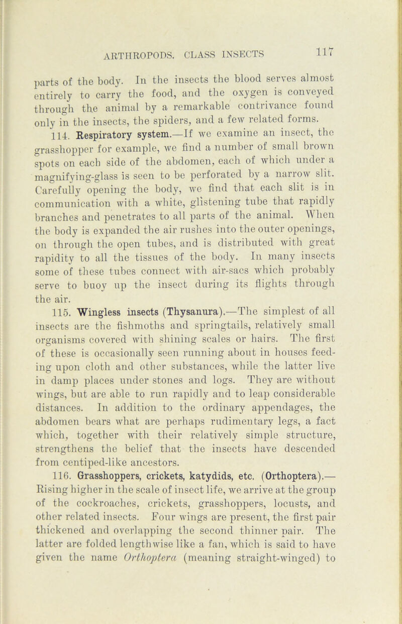 parts of the body. In the insects the blood serves almost entirely to carry the food, and the oxygen is conveyed through the animal by a remarkable contrivance found only in the insects, the spiders, and a few related forms. 114. Respiratory system.—If we examine an insect, the grasshopper for example, we find a number of small brown spots on each side of the abdomen, each of which under a magnifying-glass is seen to be perforated by a narrow slit. Carefully opening the body, we find that each slit is in communication with a white, glistening tube that rapidly branches and penetrates to all parts of the animal. When the body is expanded the air rushes into the outer openings, on through the open tubes, and is distributed with great rapidity to all the tissues of the body. In many insects some of these tubes connect with air-sacs which probably serve to buoy up the insect during its flights through the air. 115. Wingless insects (Thysanura).—The simplest of all insects are the fishmoths and springtails, relatively small organisms covered with shining scales or hairs. The first of these is occasionally seen running about in houses feed- ing upon cloth and other substances, while the latter live in damp places under stones and logs. They are without wings, but are able to run rapidly and to leap considerable distances. In addition to the ordinary appendages, the abdomen bears what are perhaps rudimentary legs, a fact which, together with their relatively simple structure, strengthens the belief that the insects have descended from centiped-like ancestors. 116. Grasshoppers, crickets, katydids, etc. (Orthoptera).— Rising higher in the scale of insect life, we arrive at the group of the cockroaches, crickets, grasshoppers, locusts, and other related insects. Four wings are present, the first pair thickened and overlapping the second thinner pair. The latter are folded lengthwise like a fan, which is said to have given the name Orthoptera (meaning straight-winged) to