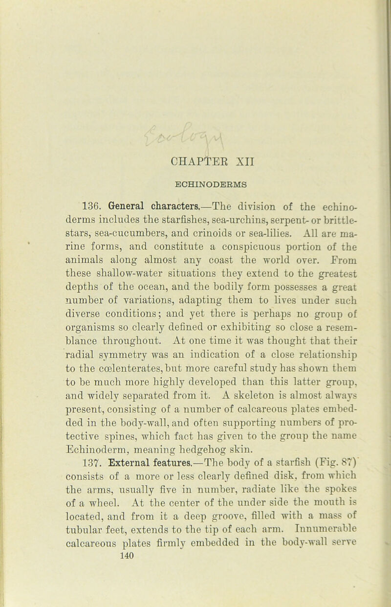 CHAPTER XII ECHINODERMS 136. General characters.—The division of the echino- derms includes the starfishes, sea-urchins, serpent-or brittle- stars, sea-cucumbers, and crinoids or sea-lilies. All are ma- rine forms, and constitute a conspicuous portion of the animals along almost any coast the world over. From these shallow-water situations they extend to the greatest depths of the ocean, and the bodily form possesses a great number of variations, adapting them to lives under such diverse conditions; and yet there is perhaps no group of organisms so clearly defined or exhibiting so close a resem- blance throughout. At one time it was thought that their radial symmetry was an indication of a close relationship to the coelenterates, but more careful study has shown them to be much more highly developed than this latter group, and widely separated from it. A skeleton is almost always present, consisting of a number of calcareous plates embed- ded in the body-wall, and often supporting numbers of pro- tective spines, which fact has given to the group the name Echinoderm, meaning hedgehog skin. 137. External features.—The body of a starfish (Fig. 87) consists of a more or less clearly defined disk, from which the arms, usually five in number, radiate like the spokes of a wheel. At the center of the under side the mouth is located, and from it a deep groove, filled with a mass of tubular feet, extends to the tip of each arm. Innumerable calcareous plates firmly embedded in the body-wall serve