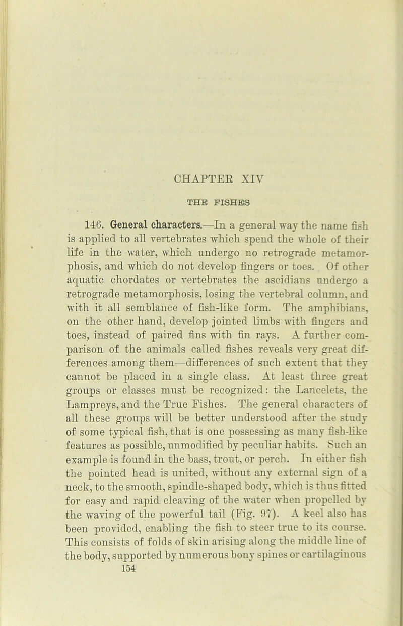 THE FISHES 146. General characters.—In a general way the name fish is applied to all vertebrates which spend the whole of their life in the water, which undergo no retrograde metamor- phosis, and which do not develop fingers or toes. Of other aquatic chordates or vertebrates the ascidians undergo a retrograde metamorphosis, losing the vertebral column, and with it all semblance of fish-like form. The amphibians, on the other hand, develop jointed limbs with fingers and toes, instead of paired fins with fin rays. A further com- parison of the animals called fishes reveals very great dif- ferences among them—differences of such extent that they cannot be placed in a single class. At least three great groups or classes must be recognized: the Lancelets, the Lampreys, and the True Fishes. The general characters of all these groups will be better understood after the study of some typical fish, that is one possessing as many fisli-like features as possible, unmodified by peculiar habits. Such an example is found in the bass, trout, or perch. In either fish the pointed head is united, without any external sign of a neck, to the smooth, spindle-shaped body, which is thus fitted for easy and rapid cleaving of the water when propelled by the waving of the powerful tail (Fig. 97). A keel also has been provided, enabling the fish to steer true to its course. This consists of folds of skin arising along the middle line of the body, supported by numerous bony spines or cartilaginous
