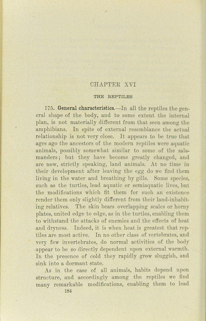 CHAPTER XVI THE REPTILES 175. General characteristics.—In all the reptiles the gen- eral shape of the body, and to some extent the internal plan, is not materially different from that seen among the amphibians. In spite of external resemblance the actual relationship is not very close. It appears to he true that ages ago the ancestors of the modern reptiles were aquatic animals, possibly somewhat similar to some of the sala- manders ; but they have become greatly changed, and are now, strictly speaking, land animals. At no time in their development after leaving the egg do we find them living in the water and breathing by gills. Some species, such as the turtles, lead aquatic or semiaquatic lives, but the modifications which fit them for such an existence render them only slightly different from their land-inhabit- ing relatives. The skin bears overlapping scales or horny plates, united edge to edge, as in the turtles, enabling them to withstand the attacks of enemies and the effects of heat and dryness. Indeed, it is when heat is greatest that rep- tiles are most active. In no other class of vertebrates, and very few invertebrates, do normal activities of the body appear to be so directly dependent upon external warmth. In the presence of cold they rapidly grow sluggish, and sink into a dormant state. As in the case of all animals, habits depend upon structure, and accordingly among the reptiles we find many remarkable modifications, enabling them to lead