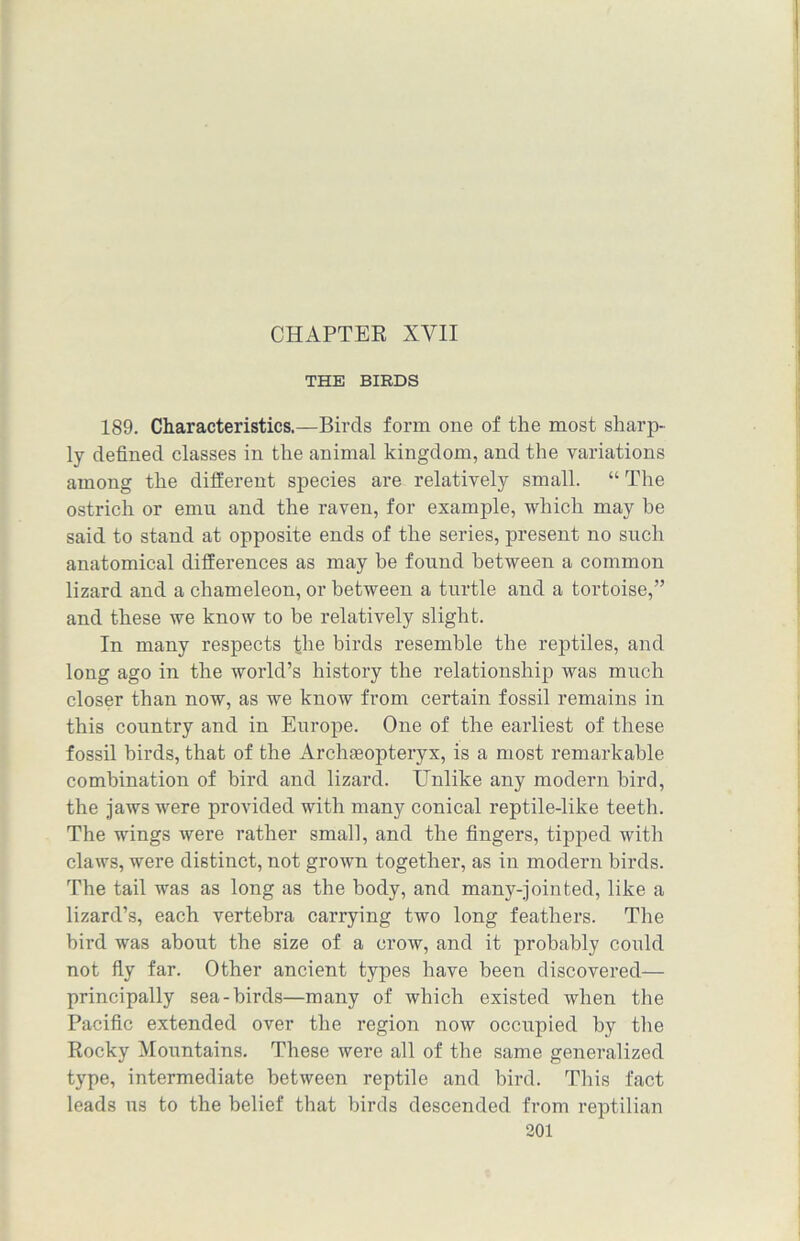 CHAPTER XVII THE BIRDS 189. Characteristics.—Birds form one of the most sharp- ly defined classes in the animal kingdom, and the variations among the different species are relatively small. “ The ostrich or emu and the raven, for example, which may be said to stand at opposite ends of the series, present no such anatomical differences as may be found between a common lizard and a chameleon, or between a turtle and a tortoise,” and these we know to be relatively slight. In many respects the birds resemble the reptiles, and long ago in the world’s history the relationship was much closer than now, as we know from certain fossil remains in this country and in Europe. One of the earliest of these fossil birds, that of the Archseopteryx, is a most remarkable combination of bird and lizard. Unlike any modern bird, the jaws were provided with many conical reptile-like teeth. The wings were rather small, and the fingers, tipped with claws, were distinct, not grown together, as in modern birds. The tail was as long as the body, and many-jointed, like a lizard’s, each vertebra carrying two long feathers. The bird was about the size of a crow, and it probably could not fly far. Other ancient types have been discovered— principally sea-birds—many of which existed when the Pacific extended over the region now occupied by the Rocky Mountains. These were all of the same generalized type, intermediate between reptile and bird. This fact leads us to the belief that birds descended from reptilian