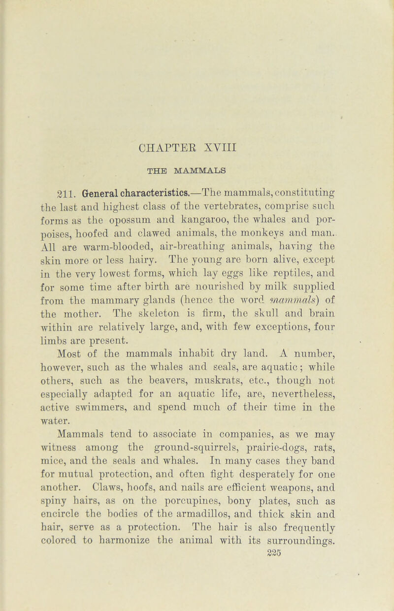 CHAPTER XVIII THE MAMMALS 211. General characteristics.—The mammals, constituting the last and highest class of the vertebrates, comprise such forms as the opossum and kangaroo, the whales and por- poises, hoofed and clawed animals, the monkeys and man. All are warm-blooded, air-breathing animals, having the skin more or less hairy. The young are born alive, except in the very lowest forms, which lay eggs like reptiles, and for some time after birth are nourished by milk supplied from the mammary glands (hence the word mammals) of the mother. The skeleton is firm, the skull and brain within are relatively large, and, with few exceptions, four limbs are present. Most of the mammals inhabit dry land. A number, however, such as the whales and seals, are aquatic; while others, such as the beavers, muskrats, etc., though not especially adapted for an aquatic life, are, nevertheless, active swimmers, and spend much of their time in the water. Mammals tend to associate in companies, as we may witness among the ground-squirrels, prairie-dogs, rats, mice, and the seals and whales. In many cases they band for mutual protection, and often fight desperately for one another. Claws, hoofs, and nails are efficient weapons, and spiny hairs, as on the porcupines, bony plates, such as encircle the bodies of the armadillos, and thick skin and hair, serve as a protection. The hair is also frequently colored to harmonize the animal with its surroundings.