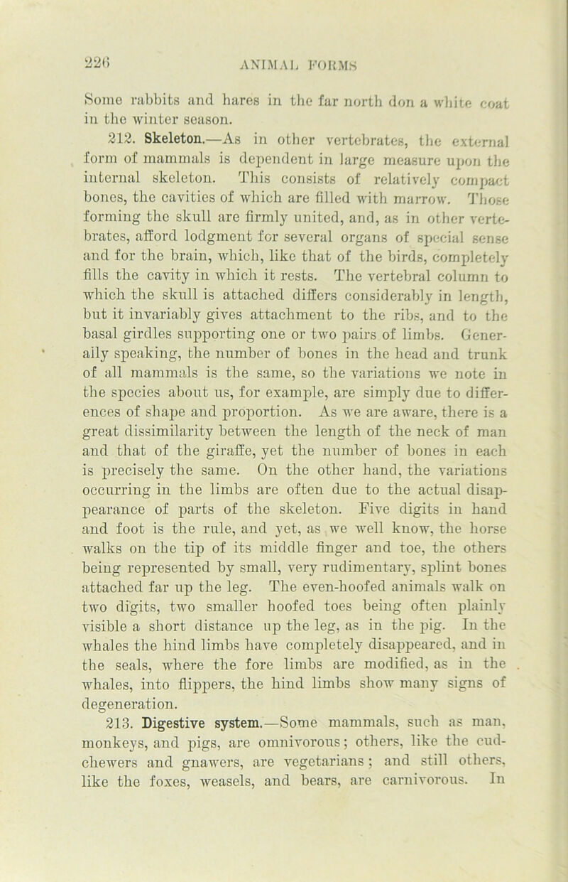 220 Some rabbits and hares in the far north don a white coat in the winter season. 212. Skeleton.—As in other vertebrates, the external form of mammals is dependent in large measure upon the internal skeleton. This consists of relatively compact bones, the cavities of which are filled with marrow. Those forming the skull are firmly united, and, as in other verte- brates, afford lodgment for several organs of special sense and for the brain, which, like that of the birds, completely fills the cavity in which it rests. The vertebral column to which the skull is attached differs considerably in length, but it invariably gives attachment to the ribs, and to the basal girdles supporting one or two pairs of limbs. Gener- ally speaking, the number of bones in the head and trunk of all mammals is the same, so the variations we note in the species about us, for example, are simply due to differ- ences of shape and proportion. As we are aware, there is a great dissimilarity between the length of the neck of man and that of the giraffe, yet the number of bones in each is precisely the same. On the other hand, the variations occurring in the limbs are often due to the actual disap- pearance of parts of the skeleton. Five digits in hand and foot is the rule, and yet, as we well know, the horse walks on the tip of its middle finger and toe, the others being represented by small, very rudimentary, splint bones attached far up the leg. The even-hoofed animals walk on two digits, two smaller hoofed toes being often plainly visible a short distance up the leg, as in the pig. In the whales the hind limbs have completely disappeared, and in the seals, where the fore limbs are modified, as in the whales, into flippers, the hind limbs show many signs of degeneration. 213. Digestive system.—Some mammals, such as man, monkeys, and pigs, are omnivorous; others, like the cud- chewers and gnawers, are vegetarians; and still others, like the foxes, weasels, and bears, are carnivorous. In