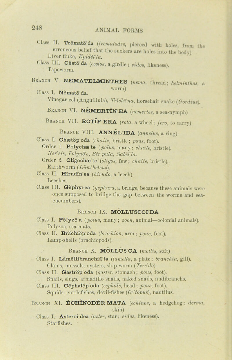 ANIMAL FORMS Class II. Trematoda (irematodee, pierced with holes, from the erroneous belief that the suckers ure holes into the bodv) Liver fluke, EpidSl'la. Class III. Cestd'da {ceslos, a girdle ; eidos, likeness). Tapeworm. Branch V. NEMATELMINTHES {nama, thread ■, helm in/has, a r. worm) Class I. Nemato da. \ inegar eel (Anguillula), Trichl'na, horsehair snake (Gordius). Branch \ I. NEMERTIN EA (nemertes, a sea-nymph) Branch \ II. ROTIF ERA {rota, a wheel; fero, to carry) Branch VIII. ANNEL IDA (annelus, a ring) Class I. Chaetop oda (cliaite, bristle; pous, foot). Order 1. Polychae te (polus, many; cliaite, bristle). Ner'eis, Polynd'e, Ser’pula, Sabel'la. Order 2. Oligochae te (oligos, few; cliaite, bristle). Earthworm (Lum'bricus). Class II. Hirudin'ea (hirudo, a leech). Leeches. Class III. Gephyrea (gephura, a bridge, because these animals were once supposed to bridge the gap between the worms and sea- cucumbers). Branch IX. MOLLUSCOIDA Class I. Folyzo'a {polus, many; zoon, animal—colonial animals). Polyzoa, sea-mats. Class II. Brachiop oda {bracliion, arm ; pous, foot). Lamp-shells (bracliiopods). Branch X. MOLLUS CA (mollis, soft) Class I. Lamellibranchia ta {lamella, a plate; branchia. gill). Clams, mussels, oysters, ship-worm {Tere'do). Class II. Gastrop oda {gaster, stomach ; pous, foot). Snails, slugs, armadillo snails, naked snails, nudibranehs. Class III. Cephalop oda {ceplxale, head; pous, foot). Squids, cuttlefishes, devil-fishes {Oc'topus), nautilus. Branch XI. ECHINODERMATA {echinos, a hedgehog; derma, skin) Class T. Asteroi dea {aster, star; eidos, likeness). Starfishes.