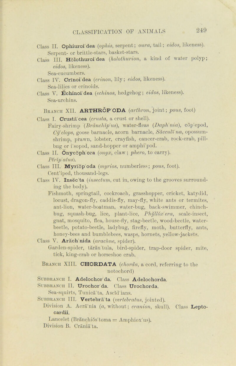 Class II. Ophiuroi dea (oplvis, serpent; ouru, tail; eidos, likeness). Serpent- or brittle-stars, basket-stars. Class III. Holothuroi dea (holothurion, a kind of water polyp; eidos, likeness). Sea-cucumbers. Class IV. Crinoi dea (crinon, lily; eidos, likeness). Sea-lilies or crinoids. Class V. Echinoi dea (echinos, hedgehog; eidos, likeness). Sea-urchins. Branch XII. ARTHROP ODA (arthron, joint; pous, foot) Class I. Crusta cea (crusta, a crust or shell). Fairy-shrimp (Brdnchtp'us), water-fleas (Dciph'nia), cdp'epod, Cy clops, goose barnacle, acorn barnacle, SdccuWna, opossum- shrimp, prawn, lobster, crayfish, cancer-crab, rock-crab, pill- bug or i'sopod, sand-hopper or amphi'pod. Class II. Onycoph'ora (onyx, claw; phero, to carry). Perip'atus). Class III. Myriop oda (myrios, numberless; pous, foot). Cent'iped, thousand-legs. Class IV. Insec ta (insectum, cut in, owing to the grooves surround- ing the body). Fishmoth, springtail, cockroach, grasshopper, cricket, katydid, locust, dragon-fly, caddis-fly, may-fly, white ants or termites, ant-lion, water-boatman, water-bug, back-swimmer, chinch- bug, squash-bug, lice, plant-lice, Phyllox'era, scale-insect, gnat, mosquito, flea, house-fly, stag-beetle, wood-beetle, water- beetle, potato-beetle, ladybug, firefly, moth, butterfly, ants, honey-bees and bumblebees, wasps, hornets, yellow-jackets. Class V. Arach nida (arachne, spider). Garden-spider, tarantula, bird-spider, trap-door spider, mite, tick, king-crab or horseshoe crab. Branch XIII. CHORDATA (chorda, a cord, referring to the notochord) Subbranch I. Adelochor da. Class Adelochorda. Subbranch II. Urochor da. Class Urochorda. Sea-squirts, Tunica/ta, Ascid'ians. Subbranch III. Vertebra'ta (vertebrafus, jointed). Division A. Acrii'nia (a, without; cranion, skull). Class Lepto- cardii. Lancelet (Branchios'toma = Amphiox'us). Division B. Crania'ta.