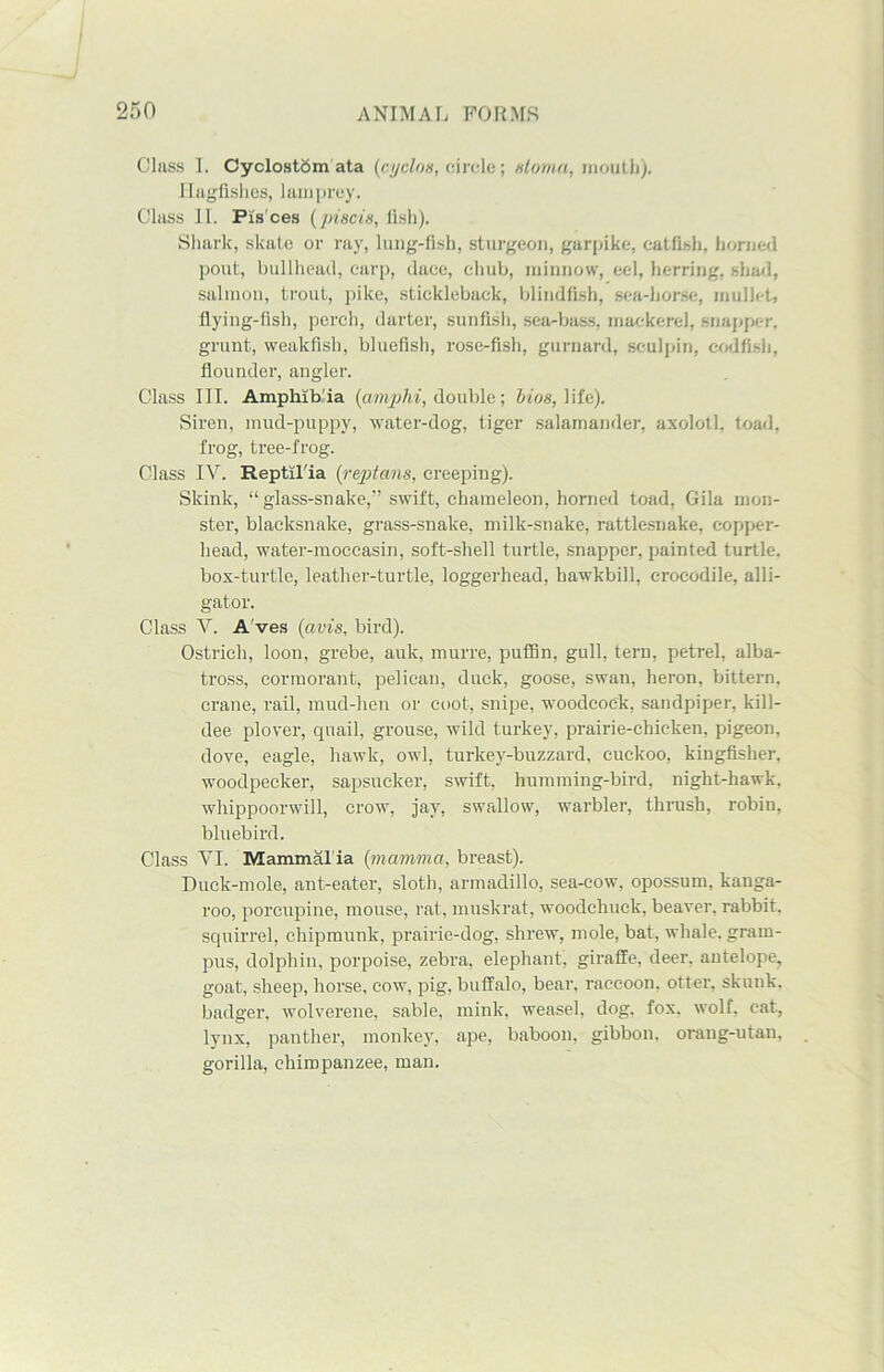 Class 1. Cyclostbm ata (cyclns, circle; stoma, mouth). Hagfishes, lamprey. Class II. Pis'ces (piscis, fish). Shark, skate or ray, lung-fish, sturgeon, gar pike, catfish, horned pout, bullhead, carp, dace, chub, minnow, eel, herring, shad, salmon, trout, pike, stickleback, blindfish, sea-horse, mullet, flying-fish, perch, darter, sunfish, sea-bass, mackerel, snapper, grunt, weakfish, bluefish, rose-fish, gurnard, sculpin, codfish, flounder, angler. Class III. Amphib'ia (amphi, double; bios, life). Siren, mud-puppy, water-dog, tiger salamander, axolotl, toad, frog, tree-frog. Class IV. Reptll'ia (reptans, creeping). Skink, “glass-snake,” swift, chameleon, horned toad, Gila mon- ster, blaeksnake, grass-snake, milk-snake, rattlesnake, copper- head, water-moccasin, soft-shell turtle, snapper, painted turtle, box-turtle, leather-turtle, loggerhead, hawkbill, crocodile, alli- gator. Class V. A'ves (avis, bird). Ostrich, loon, grebe, auk, murre, puffin, gull, tern, petrel, alba- tross, cormorant, pelican, duck, goose, swan, heron, bittern, crane, rail, mud-hen or coot, snipe, woodcock, sandpiper, kill- dee plover, quail, grouse, wild turkey, prairie-chicken, pigeon, dove, eagle, hawk, owl, turkey-buzzard, cuckoo, kingfisher, woodpecker, sapsucker, swift, humming-bird, night-hawk, whippoorwill, crow, jay, swallow, warbler, thrush, robin, bluebird. Class VI. Mammal ia (mamma, breast). Duck-mole, ant-eater, sloth, armadillo, sea-cow, opossum, kanga- roo, porcupine, mouse, rat, muskrat, woodchuck, beaver, rabbit, squirrel, chipmunk, prairie-dog, shrew, mole, bat, whale, gram- pus, dolphin, porpoise, zebra, elephant, giraffe, deer, antelope, goat, sheep, horse, cow, pig, buffalo, bear, raccoon, otter, skunk, badger, wolverene, sable, mink, weasel, dog. fox. wolf, cat, lynx, panther, monkey, ape, baboon, gibbon, orang-utan, gorilla, chimpanzee, man.