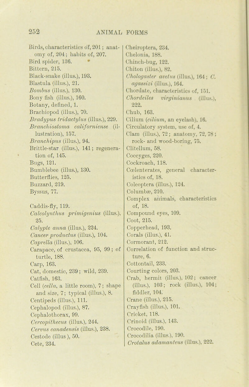 Birds, characteristics of, 201; anat- omy of, 204; habits of, 207. Bird spider, liJG. Bittern, 215. Black-snake (illus.), 193. Blastula (illus.), 21. Bombus (illus.), 130. Bony fish (illus.), 160. Botany, defined, 1. Brachiopod (illus.), 70. Bradypus tridactylus (illus.), 229. Branchiostoma californiense (il- lustration), 157. Branchipus (illus.), 94. Brittle-star (illus.), 141; regenera- tion of, 145. Bugs, 121. Bumblebee (illus.), 130. Butterflies, 125. Buzzard, 219. Byssus, 77. Caddis-fly, 119. Calcolynthus primigenius (illus.), 25. Calyple anna (illus.), 224. Cancer productus (illus.), 104. Caprella (illus.), 106. Carapace, of Crustacea, 95, 99; of turtle, 188. Carp, 163. Cat, domestic, 239 ; wild, 239. Catfish, 163. Cell (cella, a little room), 7; shape and size, 7; typical (illus.), 8. Centipeds (illus.), 111. Cephalopod (illus.), 87. Cephalothorax, 99. Cercopithecus (illus.), 244. Cervus canadensis (illus.), 238. Cestode (illus), 50. Cete, 234. Cheiroptera, 234. Chelonia, 188. Chinch-bug, 122. Chiton (illus.), 82. Chologaster avelus (illus.), 164; C. agassizi (illus.), 164. Chordate, characteristics of, 151. Chordeiles virginicmus (illus.), 222. Chub, 163. Cilium (cilium, an eyelash), 16. Circulatory system, use of, 4. Clam (illus.), 72; anatomy, 72, 78 ; rock- and wood-boring, 75. Clitellum, 58. Coccyges, 220. Cockroach, 118. Coelenterates, general character- istics of, 18. Coleoptera (illus.), 124. Columb®, 210. Complex animals, characteristics of, 18. Compound eyes, 109. Coot, 215. Copperhead, 193. Corals (illus.), 41. Cormorant, 212. Correlation of function and struc- ture, 6. Cottontail, 233. Courting colors, 203. Crab, hermit (illus.), 102; cancer (illus.), 103; rock (illus.), 104; fiddler, 104. Crane (illus.), 215. Crayfish (illus.), 101. Cricket, 118. Crinoid (illus.). 143. Crocodile, 190. Crocodilia (illus.), 190. Crolalus adamanteus (illus.), 222.