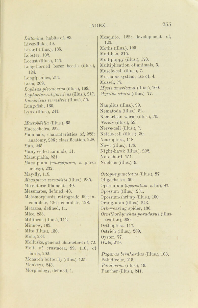 Littorina, habits of, 83. Liver-fluke, 49. Lizard (ill us.), 185. Lobster, 102. Locust (illus.), 117. Long-horned borer beetle (illus.), 124. Longipennes, 211. Loon, 209. Lophius piscatorius (illus.), 169. Lophortyx californicus (illus.), 217. Luinbricus terrestris (illus.), 55. Lung-fish, 160. Lynx (illus.), 241. Macrobdella (illus.), 63. Macrocheira, 222. Mammals, characteristics of, 225; anatomy, 226; classification, 228. Man, 245. Many-celled animals, 11. Marsupialia, 231. Marsupium (marsupium, a purse or bag), 232. May-fly, 118. 3Iegaptera versabilis (illus.), 235. Mesenteric filaments, 40. Messmates, defined, 48. Metamorphosis, reti'ograde, 99; in- complete, 126; complete, 128. Metazoa, defined, 11. Mice, 233. Millipeds (illus.), 111. Minnow, 163. Mite (illus.), 138. Mole, 234. Mollusks, general characters of, 72. Molt, of Crustacea, 99, 110; of birds, 202. Monarch butterfly (illus.), 125. Monkeys, 243. Morphology, defined, 1. Mosquito, 122; development of, 123. Moths (illus.), 125. Mud-hen, 215. Mud-puppy (illus.), 178. Multiplication of animals, 5. Muscle-cell (illus.), 7. Muscular system, use of, 4. Mussel, 77. Mysis americana (illus.), 100. Mytilus edulis (illus.), 77. Nauplius (illus.), 99. Nematoda (illus.), 52. Nemertean worm (illus.), 70. Nereis (illus.), 59. Nerve-cell (illus.), 7. Nettle-cell (illus.), 30. Neuroptera, 118. Newt (illus.), 178. Night-hawk (illus.), 222. Notochord, 151. Nucleus (illus.), 9. Octopuspunctatus (illus.), 87. Oligochaetes, 59. Operculum (operculum, a lid), 87. Opossum (illus.), 231. Opossum-shrimp (illus.), 100. Orang-utan (illus.), 243. Orb-weaving spider, 136. Ornithorhynchus paradoxus (illus- tration), 230. Orthoptera. 117. Ostrich (illus.), 209. Oyster, 77. Owls, 219. , Pagurus bernhardus (illus.), 103. Paludicolee, 215. Pandorina (illus.), 19. Panther (illus.), 241.