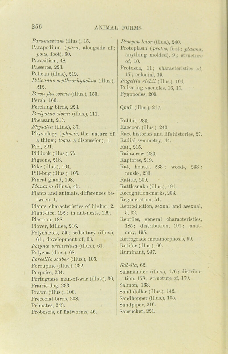 25G Paramcecium (illus.), 15. Parapodium {para, alongside of; pons, foot), GO. Parasitism, 48. Passeres, 228. Pelican (illus.), 212. Peliccmus erythrorhynchus (illus.), 212. Perea flavescens (illus.), 155. Perch, 166. Perching birds, 223. Peripatus eiseni (illus.), 111. Pheasant, 217. Physalia (illus.), 37. Physiology (physis, the nature of a thing; logos, a discussion), 1. Pici, 221. Piddock (illus.), 75. Pigeons, 218. Pike (illus.), 164. Pill-bug (illus.), 105. Pineal gland, 198. Planaria (illus.), 45. Plants and animals, differences be- tween, 1. Plants, characteristics of higher, 2. Plant-lice, 122; in ant-nests, 129. Plastron, 188. Plover, killdee, 216. Polychsetes, 59; sedentary (illus.), 61; development of, 63. Polynce brevisetosa (illus.), 61. Polyzoa (illus.), 68. Porcellio scaber (illus.), 105. Porcupine (illus.), 232. Porpoise, 234. Portuguese man-of-war (illus.), 36. Prairie-dog, 233. Prawn (illus.), 100. Precocial birds, 208. Primates, 243. Proboscis, of flatworms, 46. Procyon lotor (illus.), 240. Protoplasm {proton, first; 'plantoo, anything molded), 9; structure of, 10. Protozoa, 11; characteristics of, 17; colonial, 19. Pugettia richii (illus.), 104. Pulsating vacuoles, 16, 17. Pygopodes, 209. Quail (illus.), 217. Rabbit, 233. Raccoon (illus.), 240. Race histories and life histories, 27. Radial symmetry, 44. Rail, 215. Rain-crow, 220. Raptores, 219. Rat, house-, 233 ; wood-, 233 ; musk-, 233. Ratite, 209. Rattlesnake (illus.), 191. Recognition-marks, 203. Regeneration, 51. Reproduction, sexual and asexual, 5, 32. Reptiles, general characteristics, 185; distribution, 191; anat- omy, 195. Retrograde metamorphosis, 99. Rotifer (illus.), 66. Ruminant, 237. Sabella, 62. Salamander (illus.), 176; distribu- tion, 178; structure of. 179. Salmon, 163. Sand-dollar (illus.), 142. Sandhopper (illus.). 105. Sandpiper, 216. Sapsucker, 221.