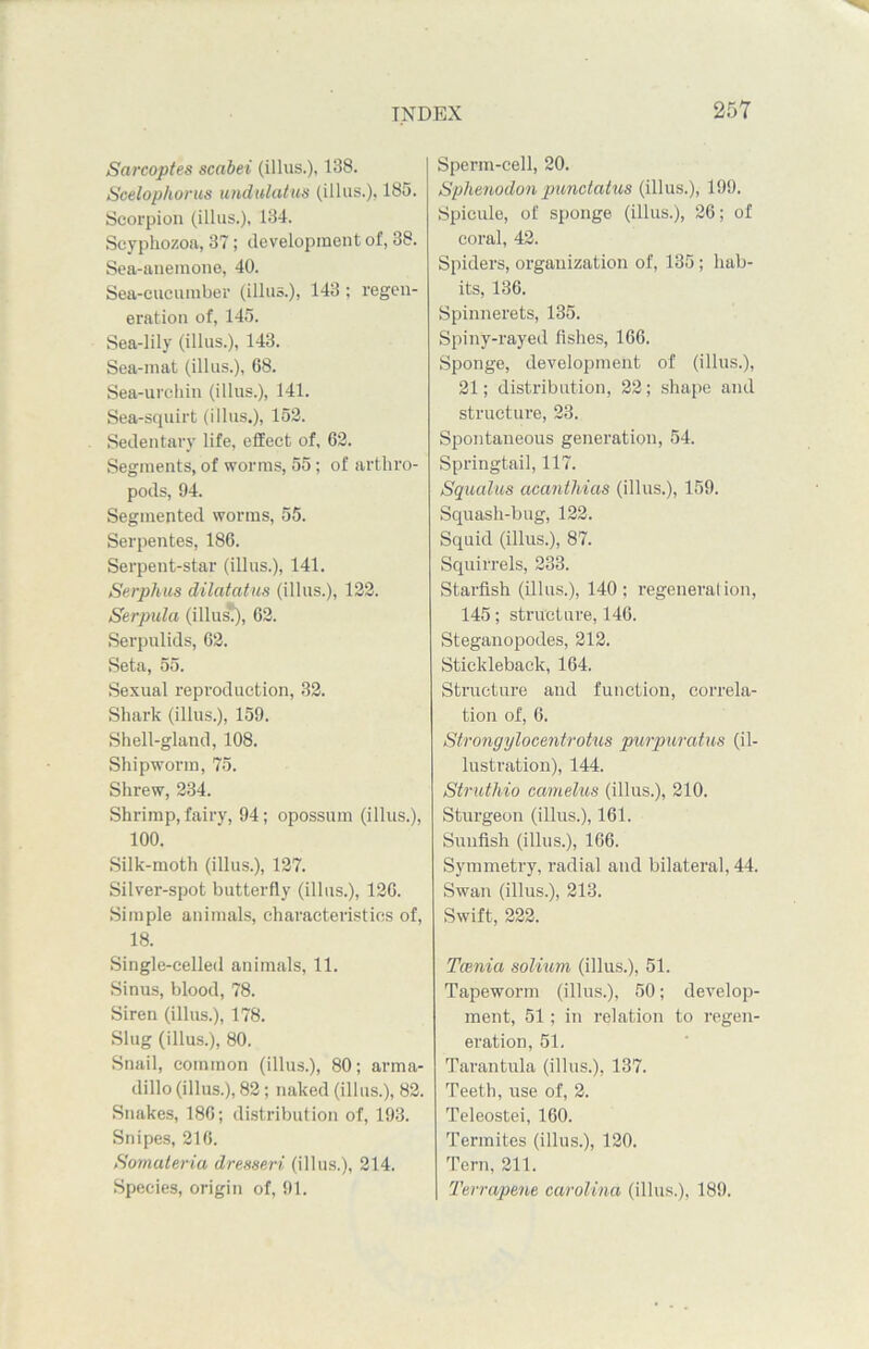 Sarcoptes scabei (illus.), 138. Scelophorus undulatus (illus.). 185. Scorpion (illus.), 134. Scyphozoa, 37; development of, 38. Sea-anemone, 40. Sea-cucumber (illus.), 143 ; regen- eration of, 145. Sea-lily (illus.), 143. Sea-mat (illus.), 08. Sea-urchin (illus.), 141. Sea-squirt (illus.), 152. Sedentary life, effect of, 02. Segments, of worms, 55; of arthro- pods, 94. Segmented worms, 55. Serpentes, 180. Serpent-star (illus.), 141. Serphus dilatatus (illus.), 122. Serpula (illusl), 02. Serpulids, 02. Seta, 55. Sexual reproduction, 32. Shark (illus.), 159. Shell-gland, 108. Shipworm, 75. Shrew, 234. Shrimp, fairy, 94; opossum (illus.), 100. Silk-moth (illus.), 127. Silver-spot butterfly (illus.), 120. Simple animals, characteristics of, 18. Single-celled animals, 11. Sinus, blood, 78. Siren (illus.), 178. Slug (illus.), 80. Snail, common (illus.), 80; arma- dillo (illus.), 82; naked (illus.), 82. Snakes, 180; distribution of, 193. Snipes, 210. Somateria dresseri (illus.), 214. Species, origin of, 91. Sperm-cell, 20. Sphenodon pundatus (illus.), 199. Spicule, of sponge (illus.), 20; of coral, 42. Spiders, organization of, 135; hab- its, 130. Spinnerets, 135. Spiny-rayed fishes, 100. Sponge, development of (illus.), 21; distribution, 22; shape and structure, 23. Spontaneous generation, 54. Springtail, 117. Squalus acanthias (illus.), 159. Squash-bug, 122. Squid (illus.), 87. Squirrels, 233. Starfish (illus.), 140; regeneration, 145; structure, 140. Steganopodes, 212. Stickleback, 104. Structure and function, correla- tion of, 0. Strongylocentrotus purpuratus (il- lustration), 144. Struthio ccmielus (illus.), 210. Sturgeon (illus.), 101. Suufish (illus.), 100. Symmetry, radial and bilateral, 44. Swan (illus.), 213. Swift, 222. Tcenia solium (illus.), 51. Tapeworm (illus.), 50; develop- ment, 51; in relation to regen- ei-ation, 51. Tarantula (illus.), 137. Teeth, use of, 2. Teleostei, 100. Termites (illus.), 120. Tern, 211. Terrapene Carolina (illus.), 189.
