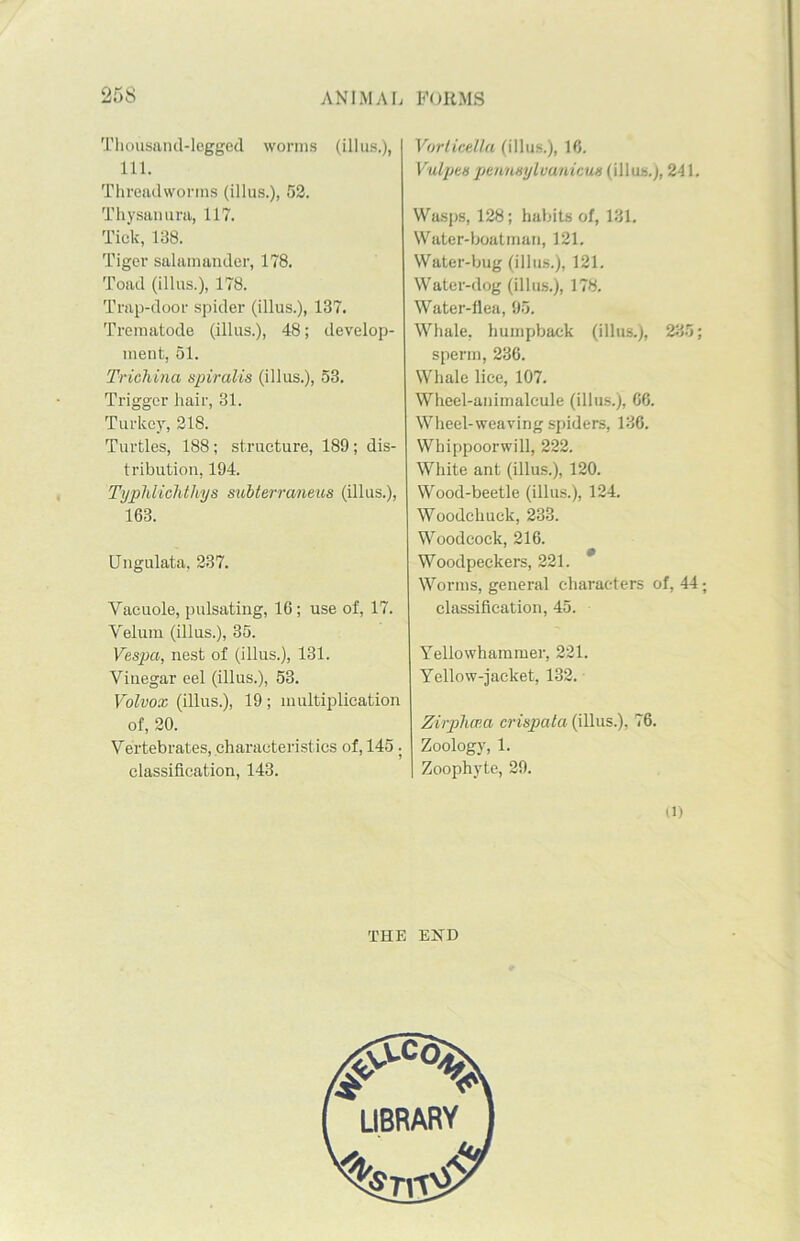 Thousand-legged worms (ill us.), 111. Threadworms (illus.), 52. Thysanura, 117. Tick, 138. Tiger salamander, 178. Toad (illus.), 178. Trap-door spider (illus.), 137. Trematode (illus.), 48; develop- ment, 51. Trichina spiralis (illus.), 53. Trigger hair, 31. Turkey, 218. Turtles, 188; structure, 189; dis- tribution, 194. Typhlichthys subterraneus (illus.), 163. Ungulata, 237. Yacuole, pulsating, 16; use of, 17. Velum (illus.), 35. Vespa, nest of (illus.), 131. Vinegar eel (illus.), 53. Volvox (illus.), 19; multiplication of, 20. Vertebrates, characteristics of, 145. classification, 143. Vorlicella (illus.), 16. Vulpcspennsylvanicuts (illus.), 241. Wasps, 128; habits of, 131. Water-boatman, 121. Water-bug (illus.), 121. Water-dog (illus.), 178. Water-flea, 95. Whale, humpback (illus.), 235; sperm, 236. Whale lice, 107. Wheel-animalcule (illus.), 66. Wheel-weaving spiders, 136. Whippoorwill, 222. White ant (illus.), 120. Wood-beetle (illus.), 124. Woodchuck, 233. Woodcock, 216. Woodpeckers, 221. * Worms, general characters of, 44; classification, 45. Yellowhammer, 221. Yellow-jacket, 132. ZirphcpM crispata (illus.), 76. Zoology, 1. I Zoophyte, 29. (l) THE END LIBRARY