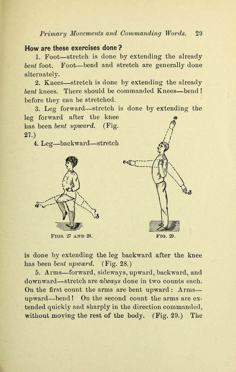 How are these exercises done ? 1. Foot—stretch is done by extending the already bent foot. Foot—bend and stretch are generally done alternately. 2. Knees—stretch is done by extending the already bent knees. There should be commanded Knees—bend ! before they can be stretched. 3. Leg forward—stretch is done by extending the is done by extending the leg backward after the knee has been bent upward. (Fig. 28.) 5. Arms—forward, sideways, upward, backward, and downward—stretch are always done in two counts each. On the first count the arms are bent upward : Arms— upward—bend 1 On the second count the arms are ex- tended quickly and sharply in the direction commanded, without moving the rest of the body. (Fig. 29.) The