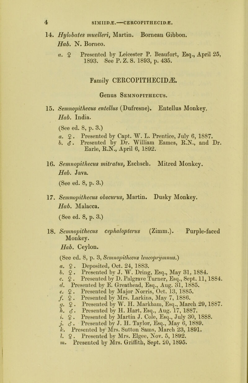 14. Hylobates muelleri, Martin. Bornean Gibbon. Hab. N. Borneo. a. $ Presented by Leicester P. Beaufort, Esq., April 25, 1893. See P. Z. S. 1893, p. 435. Family CERCOPITHECIDiE. Genus Semnopithecus. 15. Semnopithecus entellus (Dufresne). Entellus Monkey. Hab. India. (See ed. 8, p. 3.) a. 5 . Presented by Capt. W. L. Prentice, July 6, 1887. b. d. Presented by Dr. William Eames, R.N., and Dr. Earie, R.N., April 6, 1892. 16. Semnopithecus mitratus, Eschsch. Mitred Monkey. Hab. Java. (See ed. 8, p. 3.) 17. Semnopithecus obscurus3 Martin. Dusky Monkey. Hab. Malacca. (See ed. 8, p. 3.) 18. Semnopithecus cephalopterus (Zimm.). Purple-faced Monkey. Hab. Ceylon. (See ed. 8, p. 3, Semnopithecus leucoprymnus.) a. 2 • Deposited, Oct. 24, 1883. b. 2 • Presented by J. W. Dring, Esq., May 31, 1884. c. $ . Presented by D. Palgrave Turner, Esq., Sept. 11,1884. cl. Presented by E. Greathead, Esq., Aug. 31, 1885. e. 2 • Presented by Major Norris, Oct. 13, 1885. f. $ . Presented by Mrs. Larkins, May 7, 1886. g. $ . Presented by W. PI. Markham, Esq., March 29,1SS7. h. d. Presented by H. Hart, Esq., Aug. 17, 1887. i. $ . Presented by Martin J. Cole, Esq., July 30, 1SS8. j. d • Presented by J. H. Taylor, Esq., May 6, 1889. 7t. Presented by Mrs. Sutton Sams, March 23, 1891. l. 2 • Presented by Mrs. Elgee, Nov. 5, 1892. m. Presented by Mrs. Griffith, Sept. 20, 1895.