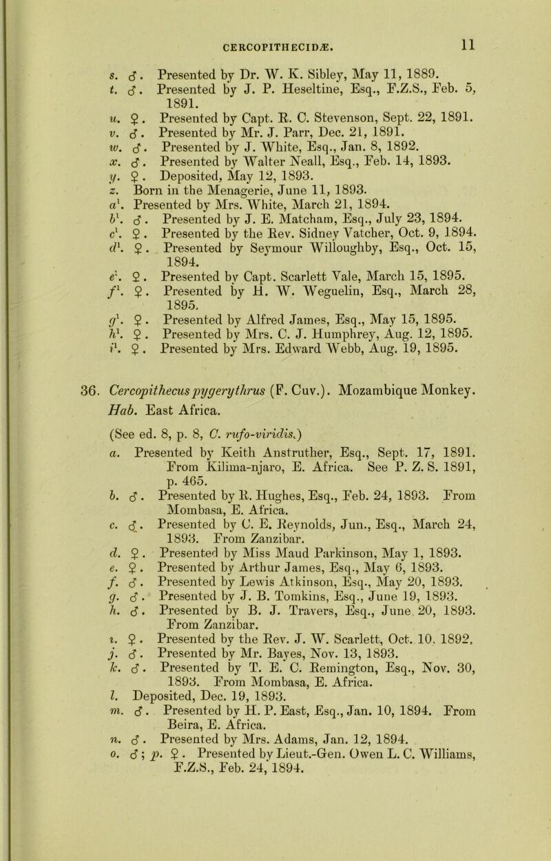 s. S • Presented by Dr. W. K. Sibley, May 11, 1889. t. <4. Presented by J. P. Heseltine, Esq., E.Z.S., Eeb. 5, 1891. u. 5 . Presented by Capt. R. C. Stevenson, Sept. 22, 1891. v. <4 • Presented by Mr. J. Parr, Dec. 21, 1891. w. <4. Presented by J. White, Esq., Jan. 8, 1892. x. <4. Presented by Walter Neall, Esq., Eeb. 14, 1893. if. 2 • Deposited, May 12, 1893. z. Born in the Menagerie, June 11, 1893. a1. Presented by Mrs. White, March 21, 1894. b1. <4. Presented by J. E. Matcham, Esq., July 23, 1894. cl. 2 • Presented by the Rev. Sidney Vatcher, Oct. 9, 1894. d1. 2 • Presented by Seymour Willoughby, Esq., Oct. 15, 1894. e\ 2. Presented by Capt. Scarlett Yale, March 15, 1895. f1. 2 • Presented by 14. W. Weguelin, Esq., March 28, 1895. (f. 2 . Presented by Alfred James, Esq., May 15, 1895. hl. 2 • Presented by Mrs. C. J. Humphrey, Aug. 12, 1895. r1. 2 • Presented by Mrs. Edward Webb, Aug. 19, 1895. 36. Cercopithecus pygeipthrus (P. Cuv.). Mozambique Monkey. Hab. East Africa. (See ed. 8, p. 8, C. rufo-viridisS) а. Presented by Keith Anstruther, Esq., Sept. 17, 1891. Erom Kilima-njaro, E. Africa. See P. Z. S. 1891, p. 465. б. (4 . Presented by R. Hughes, Esq., Eeb. 24, 1893. Erom Mombasa, E. Africa. c. <4 • Presented by C. E. Reynolds, Jun., Esq., March 24, 1893. Erom Zanzibar. d. 2 • Presented by Miss Maud Parkinson, May 1, 1893. e. 2 • Presented by Arthur James, Esq., May 6, 1893. /. <4 • Presented by Lewis Atkinson, Esq., May 20, 1893. g. (4. Presented by J. B. Tomkins, Esq., June 19, 1893. h. ,4. Presented by B. J. Travers, Esq., June 20, 1893. Erom Zanzibar. i. 2 • Presented by the Rev. J. W. Scarlett, Oct. 10, 1892t j. <4 • Presented by Mr. Bayes, Nov. 13, 1893. k. (4* Presented by T. E. C. Remington, Esq., Nov. 30, 1893. Erom Mombasa, E. Africa. l. Deposited, Dec. 19, 1893. m. (4 . Presented by H. P. East, Esq., Jan. 10, 1894. Erom Beira, E. Africa. n. (4 . Presented by Mrs. Adams, Jan. 12, 1894. o. (4 ; p. 2 • Presented by Lieut.-Gen. Owen L. C. Williams, E.Z.S., Eeb. 24,‘ 1894.