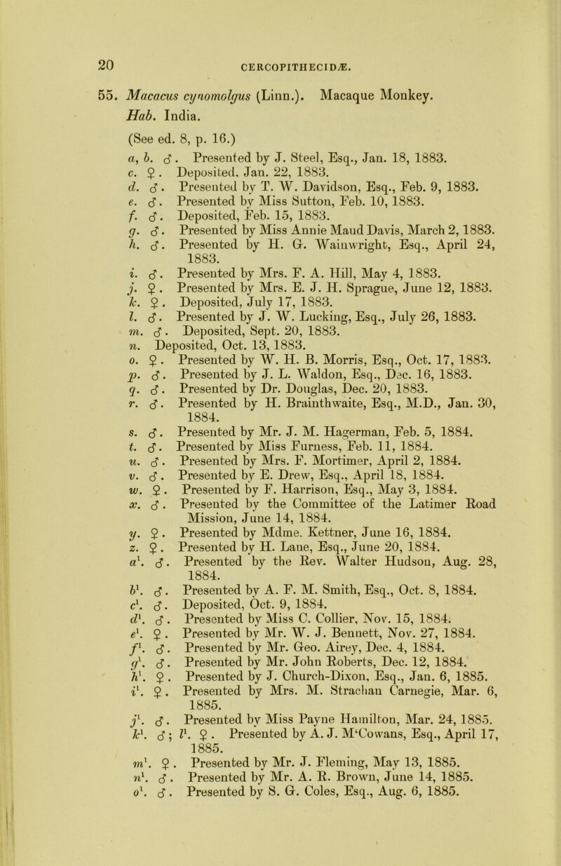 55. Macacus cynomolgus (Linn.). Macaque Monkey. Hab. India. (See ed. 8, p. 16.) a, b. d. Presented by J. Steel, Esq., Jan. 18, 1883. c. $ . Deposited, Jan. 22, 1883. d. d. Presented by T. W. Davidson, Esq., Eeb. 9, 1883. e. d • Presented by Miss Sutton, Eeb. 10, 1883. f. d • Deposited, Eeb. 15, 1883. g. d • Presented by Miss Annie Maud Davis, March 2,1883. h. d• Presented by H. G. Wainwright, Esq., April 24, 1883. i. d • Presented by Mrs. F. A. Hill, May 4, 1883. j. 2 • Presented by Mrs. E. J. H. Sprague, June 12, 1883. Jc. $ . Deposited, July 17, 1883. l. d • Presented by J. W. Lucking, Esq., July 26, 1883. m. d • Deposited, Sept. 20, 1883. n. Deposited, Oct. 13,1883. o. 2 • Presented by W. H. B. Morris, Esq., Oct. 17, 1883. jp. d • Presented by J. L. Waldon, Esq., Dec. 16, 1883. q. d • Presented by Dr. Douglas, Dec. 20, 1883. r. d • Presented by H. Brainthwaite, Esq., M.D., Jan. 30, 1884. s. d • Presented by Mr. J. M. Hagerman, Eeb. 5, 1884. t. d • Presented by Miss Eurness, Eeb. 11, 1884. u. d • Presented by Mrs. E. Mortimer, April 2, 1884. v. d • Presented by E. Drew, Esq., April 18, 1884. w. 2 • Presented by F. Harrison, Esq., May 3, 1884. x. d • Presented by the Committee of the Latimer Eoad Mission, June 14, 1884. y. $ . Presented by Mdme. Kettner, June 16, 1884. z. 2 • Presented by H. Lane, Esq., June 20, 1884. a1, d- Presented by the Bev. Walter Hudson, Aug. 28, 1884. b1. d • Presented by A. E. M. Smith, Esq., Oct. 8, 1884. c1. d • Deposited, Oct. 9, 1884. dl. d • Presented by Miss C. Collier, Nov. 15, 1884. el. 2 • Presented by Mr. W. J. Bennett, Nov. 27, 1884. f1. d • Presented by Mr. Geo. Airey, Dec. 4, 1884. gl. d • Presented by Mr. John Boberts, Dec. 12, 1884. hl. 2 • Presented by J. Church-Dixon, Esq., Jan. 6, 1885. il. 2 • Presented by Mrs. M. Strachan Carnegie, Mar. 6, 1885. j1. d • Presented by Miss Payne Hamilton, Mar. 24, 1885. lcx. d ; 21. 2 • Presented by A. J. M‘Covvans, Esq., April 17, 1885. ml. 2 • Presented by Mr. J. Fleming, May 13, 1885. nl. d • Presented by Mr. A. B. Brown, June 14, 1885. o1. d • Presented by S. G. Coles, Esq., Aug. 6, 1835.