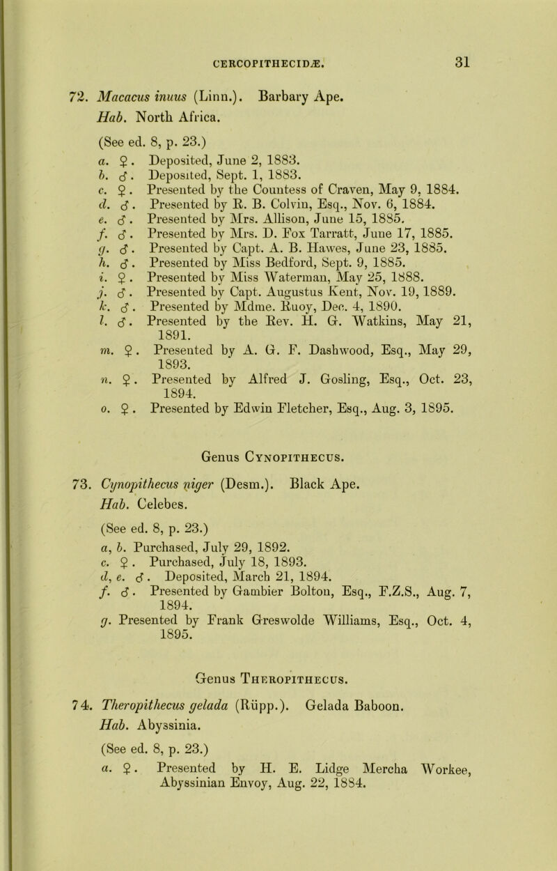 72. Macacus inuus (Linn.). Barbary Ape. Hab. North Africa. (See ed. 8, p. 23.) a. 2 • Deposited, June 2, 1883. b. d> Deposited, Sept. 1, 1883. c. 2 • Presented by the Countess of Craven, May 9, 1884. d. d • Presented by R. B. Colvin, Esq., Nov. 6, 1884. e. d • Presented by Mrs. Allison, June 15, 1885. /. d • Presented by Mrs. D. Fox Tarratt, June 17, 1885. g. d. Presented by Capt. A. B. Hawes, June 23, 1885. h. d . Presented by Miss Bedford, Sept. 9, 1885. i. 5 . Presented by Miss Waterman, May 25, 1888. j. d • Presented by Capt. Augustus Kent, Nov. 19,1889. k. d ■ Presented by Mdtne. Buoy, Dec. 4, 1890. l. d • Presented by the Bev. H. G. Watkins, May 21, 1891. m. 5 . Presented by A. G. F. Dash wood, Esq., May 29, 1893. n. $. Presented by Alfred J. Gosling, Esq., Oct. 23, 1894. o. 2 • Presented by Edwin Fletcher, Esq., Aug. 3, 1895. Genus Cynopithecus. 73. Cynopithecus niger (Desm.). Black Ape. Hab. Celebes. (See ed. 8, p. 23.) a, b. Purchased, July 29, 1892. c. 2 • Purchased, July 18, 1893. tZ, e. d • Deposited, March 21, 1894. /. d • Presented by Ganibier Bolton, Esq., F.Z.S., Aug. 7, 1894. g. Presented by Frank Greswolde Williams, Esq., Oct. 4, 1895. Genus Theropithecus. 74. Theropithecus gelada (Rupp.). Gelada Baboon. Hab. Abyssinia. (See ed. 8, p. 23.) a. 2 • Presented by H. E. Lidge Mercha Workee, Abyssinian Envoy, Aug. 22, 1884.