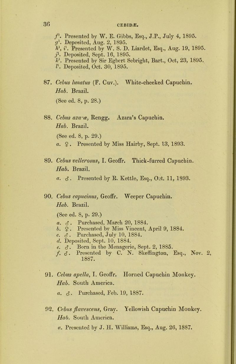 f\ Presented by W. E. Gibbs, Esq., J.P., July 4, 1895. <jl. Deposited, Aug. 2, 1895. i\ Presented by W. S. D. Liardet, Esq., Aug. 19, 1895. jl. Deposited, Sept. 16, 1895. Jc1. Presented by Sir Egbert Sebright, Bart., Oct, 23, 1895. lx. Deposited, Oct. 30, 1895. 87. Cebus lunatus (F. Cuv.). White-cheeked Capuchin. Hab. Brazil. (See ed. 8, p. 28.) 88. Cebus aza'ce, Rengg. Azara’s Capuchin. Hab. Brazil. (See ed. 8, p. 29.) a. 2 • Presented by Miss Hairby, Sept. 13, 1893. 89. Cebus vellerosus, I. Geoffr. Thick-furred Capuchin. Hab. Brazil. a. 3. Presented by R. Kettle, Esq., Oct. 11, 1893. 90. Cebus capucinus, Geoffr. Weeper Capuchin. Hab. Brazil. (See ed. 8, p. 29.) a. 3 • Purchased, March 20, 1884. b. ^ • Presented by Miss Vincent, April 9, 1884. c. <3 . Purchased, July 10, 1884. cl. Deposited, Sept. 10, 1884. e. 3. Born in the Menagerie, Sept. 2, 1885. f. 3. Presented by C. IN’. Skeffington, Esq., Nov. 1887. 91. Cebus apella, I. Geoffr. Horned Capuchin Monkey. Hab. South America. a. 3. Purchased, Eeb. 19, 1887. 92. Cebus flavescens, Gray. Yellowish Capuchin Monkey. Hab. South America. «. Presented by J. PI. Williams, Esq., Aug. 26, 1887.