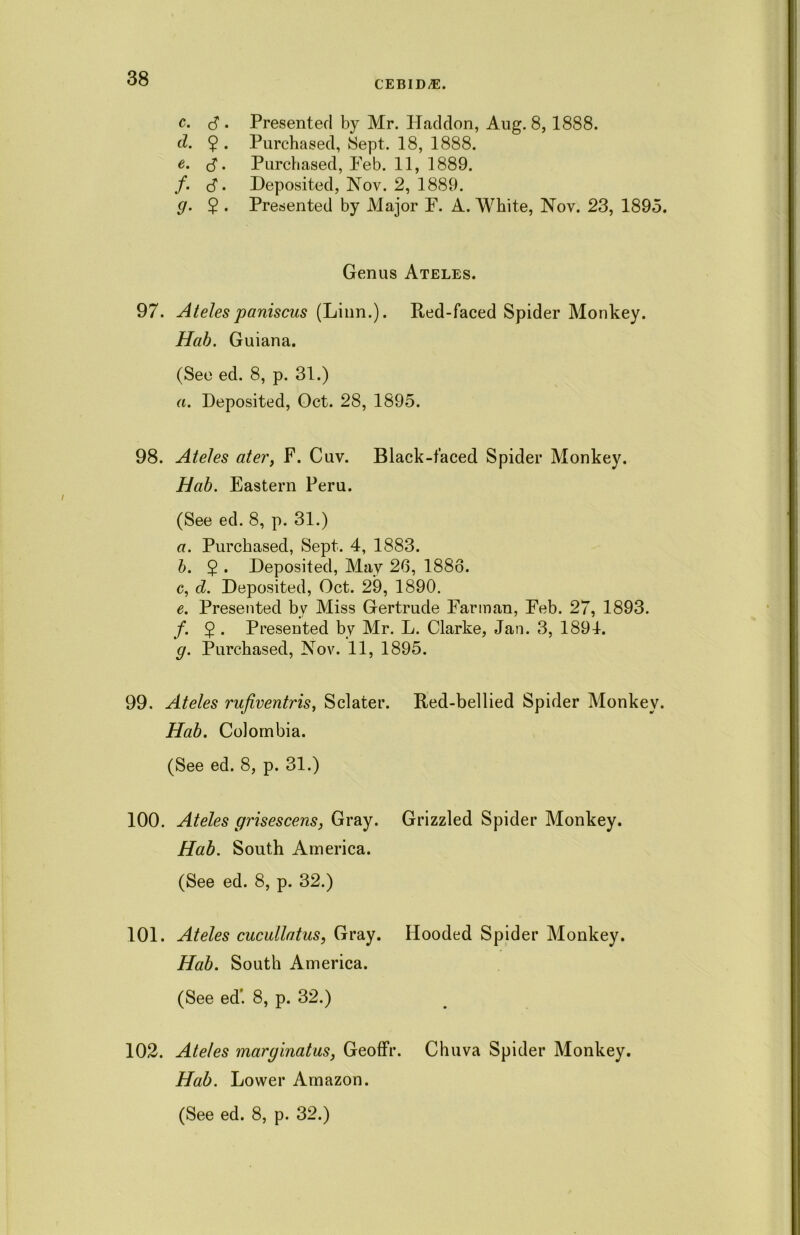 CEBID/E. c. d . Presented by Mr. ITaddon, Aug. 8,1888. d. 9 • Purchased, Sept. 18, 1888. e. d. Purchased, Feb. 11, 1889. /. d. Deposited, Nov. 2, 1889. (/. $ . Presented by Major F. A. White, Nov. 23, 1895. Genus Ateles. 97. Atelespaniscus (Linn.). Red-faced Spider Monkey. Hab. Guiana. (See ed. 8, p. 31.) a. Deposited, Oct. 28, 1895. 98. Ateles ater, F. Cuv. Black-faced Spider Monkey. Hab. Eastern Peru. (See ed. 8, p. 31.) a. Purchased, Sept. 4, 1883. b. 5 • Deposited, May 26, 1886. c. d. Deposited, Oct. 29, 1890. e. Presented by Miss Gertrude Farinan, Feb. 27, 1893. /. 2 • Presented by Mr. L. Clarke, Jan. 3, 1894. g. Purchased, Nov. 11, 1895. 99. Ateles rufiventris, Sclater. Red-bellied Spider Monkey. Hab. Colombia. (See ed. 8, p. 31.) 100. Ateles grisescens, Gray. Grizzled Spider Monkey. Hab. South America. (See ed. 8, p. 32.) 101. Ateles cucullatus, Gray. Hooded Spider Monkey. Hab. South America. (See ed'. 8, p. 32.) 102. Ateles marginatus, Geoffr. Chuva Spider Monkey. Hab. Lower Amazon. (See ed. 8, p. 32.)