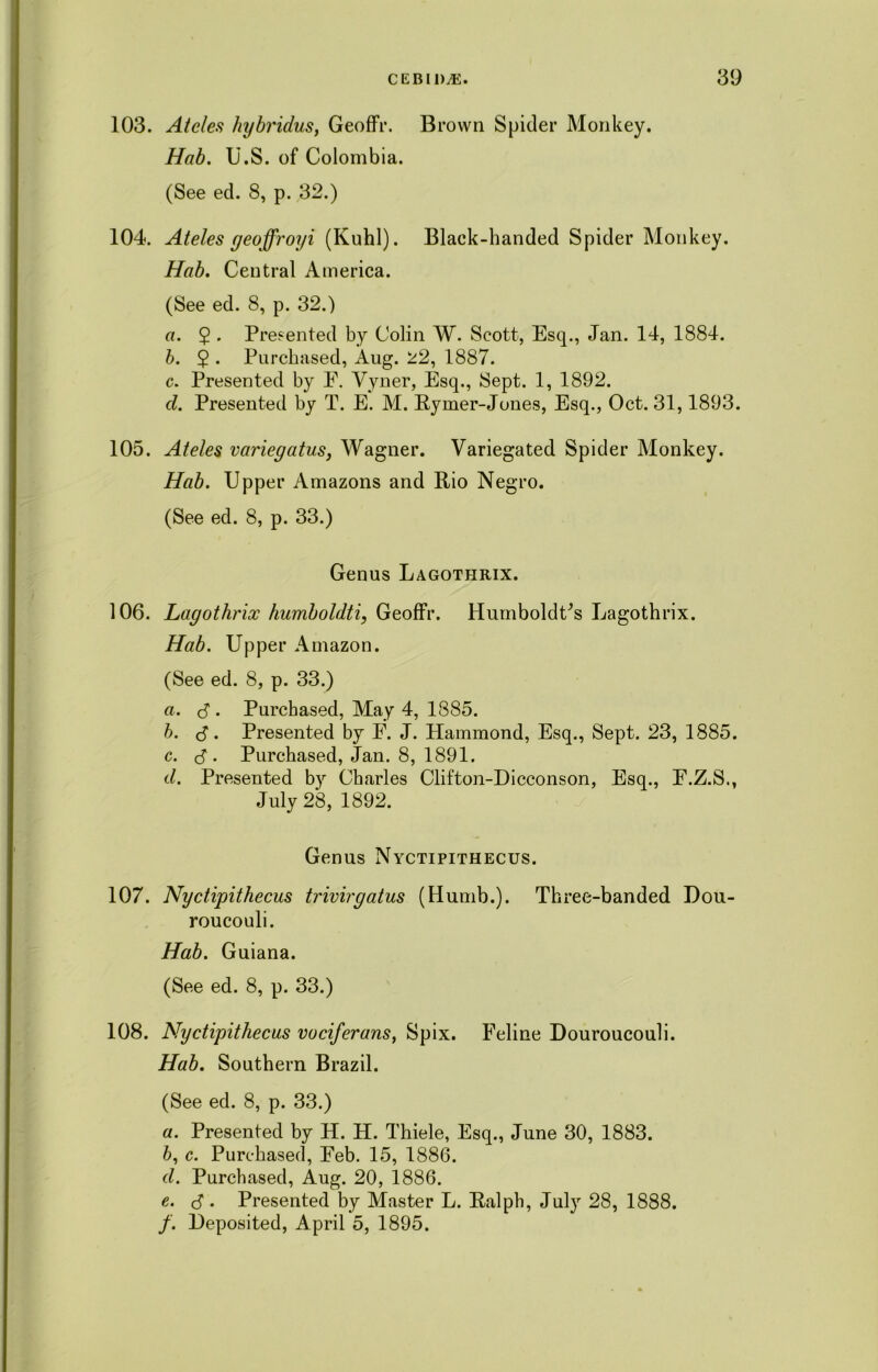 103. Ateles hybridus, Geoffr. Brown Spider Monkey. Hab. U.S. of Colombia. (See ed. 8, p. 32.) 104. Ateles geoffroyi (Kuhl). Black-banded Spider Monkey. Hab. Central America. (See ed. 8, p. 32.) a. 5 . Presented by Colin W. Scott, Esq., Jan. 14, 1884. b. $ . Purchased, Aug. 22, 1887. c. Presented by E. Vyner, Esq., Sept. 1, 1892. cl. Presented by T. E. M. Eymer-Jones, Esq., Oct. 31,1893. 105. Ateles variegatus, Wagner. Variegated Spider Monkey. Hab. Upper Amazons and Rio Negro. (See ed. 8, p. 33.) Genus Lagothrix. 106. Lagothrix humboldti, Geoffr. Humboldt's Lagothrix. Hab. Upper Amazon. (See ed. 8, p. 33.) a. 3 . Purchased, May 4, 1885. b. 3. Presented by E. J. Hammond, Esq., Sept. 23, 1885. c. 3 . Purchased, Jan. 8, 1891. cl. Presented by Charles Clifton-Dicconson, Esq., E.Z.S., July 28, 1892. Genus Nyctipithecus. 107. Nyctipithecus trivirgatus (Humb.). Three-banded Dou- roucouli. Hab. Guiana. (See ed. 8, p. 33.) 108. Nyctipithecus vociferans, Spix. Eeline Douroucouli. Hab. Southern Brazil. (See ed. 8, p. 33.) а. Presented by H. H. Thiele, Esq., June 30, 1883. б, c. Purchased, Eeb. 15, 1886. cl. Purchased, Aug. 20, 1886. e. 3 . Presented by Master L. Ralph, July 28, 1888. /. Deposited, April 5, 1895.