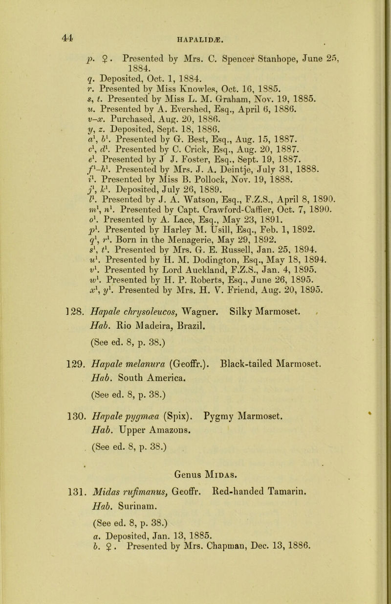 p. $ . Presented by Mrs. C. Spencer Stanhope, June 25, 1884. q. Deposited, Oct. 1, 1884. r. Presented by Miss Knowles, Oct. 16, 1885. 5, t. Presented by Miss L. M. Graham, Nov. 19, 1885. u. Presented by A. Evershed, Esq., April 6, 1886. v-x. Purchased, Aug. 20, 1886. y, z. Deposited, Sept. 18, 1886. ft1, bl. Presented by G. Best, Esq., Aug. 15, 1887. c1, d1. Presented by C. Crick, Esq., Aug. 20, 1887. e1. Presented by J J. Foster, Esq., Sept. 19, 1887. fx-hl. Presented by Mrs. J. A. Deintje, July 31, 1888. i1. Presented by Miss B. Pollock, Nov. 19, 1888. j1, Jc1. Deposited, July 26, 1889. I1. Presented by J. A. Watson, Esq., F.Z.S., April 8, 1890. m1, nl. Presented by Capt. Crawford-Caffier, Oct. 7, 1890. o1. Presented by A. Lace, Esq., May 23, 1891. p1. Presented by Harley M. Usill, Esq., Feb. 1, 1892. ql, r1. Born in the Menagerie, May 29, 1892. s1, t1. Presented by Mrs. G. E. Bussell, Jan. 25, 1894. ul. Presented by H. M. Dodington, Esq., May 18, 1894. vl. Presented by Lord Auckland, F.Z.S., Jan. 4, 1895. wl. Presented by H. P. Boberts, Esq., June 26, 1895. a?1, yl. Presented by Mrs. H. V. Friend, Aug. 20, 1895. 128. Hapale chrysoleucos, Wagner. Silky Marmoset. Hab. Bio Madeira^ Brazil. (See ed. 8, p. 38.) 129. Hapale melanura (Geoffr.). Black-tailed Marmoset. Hab. South America. (See ed. 8, p. 38.) 130. Hapale pygmcea (Spix). Pygmy Marmoset. Hab. Upper Amazons. (See ed. 8, p. 38.) Genus Midas. 131. Midas rufimanus, Geoffr. Bed-handed Tamarin. Hab. Surinam. (See ed. 8, p. 38.) a. Deposited, Jan. 13, 1885. b. 2 • Presented by Mrs. Chapman, Dec. 13, 1886.