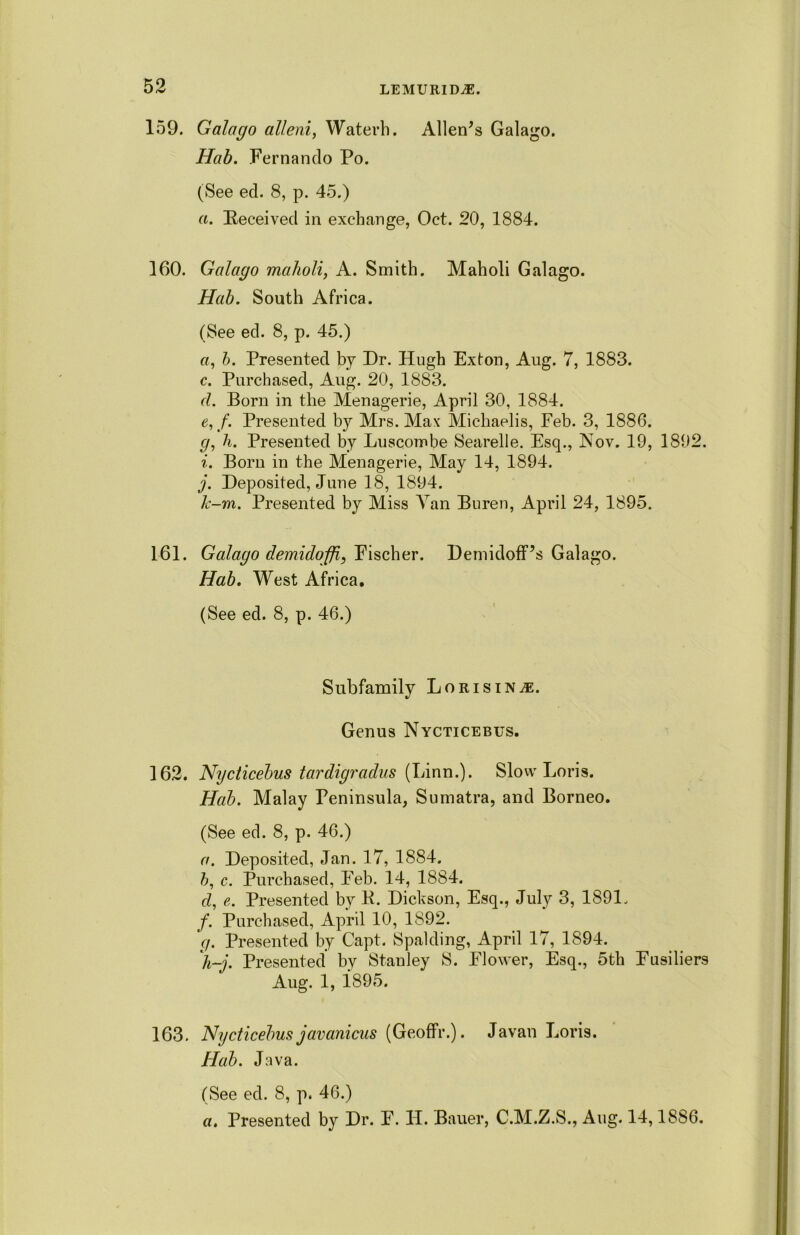 159. Galago alleni, Waterh. Alienas Galago. Hab. Fernando Po. (See ed. 8, p. 45.) a. deceived in exchange, Oct. 20, 1884. 160. Galago maholi, A. Smith. Maholi Galago. Hab. South Africa. (See ed. 8, p. 45.) a, b. Presented by Dr. Hugh Ex ton, Aug. 7, 1883. c. Purchased, Aug. 20, 1883. d. Born in the Menagerie, April 30, 1884. e. f. Presented by Mrs. Max Michaelis, Feb. 3, 1886. g, h. Presented by Luscombe Searelle. Esq., Nov. 19, 1892. i. Born in the Menagerie, May 14, 1894. j. Deposited, June 18, 1894. k-m. Presented by Miss ATan Buren, April 24, 1895. 161. Galago demidofi, Fischer. Demidoff’s Galago. Hab. West Africa. (See ed. 8, p. 46.) Subfamily Lorisin^e. Genus Nycticebus. 162. Nycticebus tardigradus (Linn.). Slow Loris. Hab. Malay Peninsula, Sumatra, and Borneo. (See ed. 8, p. 46.) a. Deposited, Jan. 17, 1884. b, c. Purchased, Feb. 14, 1884. d, e. Presented by B. Dickson, Esq., July 3, 1891. /. Purchased, April 10, 1892. g. Presented by Capt. Spalding, April 17, 1894. h-j. Presented by Stanley S. Flower, Esq., 5th Fusiliers Aug. 1, 1895. 163. Nycticebus javanicus (Geoffr.). Javan Loris. Hab. Java. (See ed. 8, p. 46.) a. Presented by Dr. F. H. Bauer, C.M.Z.S., Aug. 14,1886.