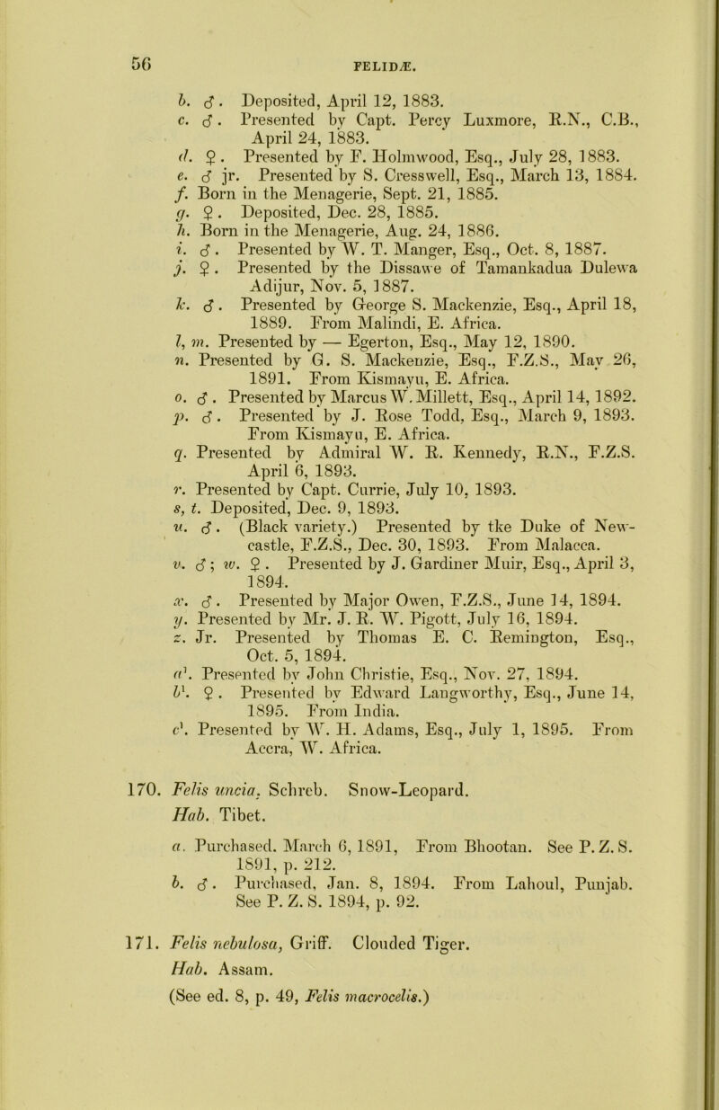 5G b. d . Deposited, April 12, 1883. c. d. Presented by Capt. Percy Luxmore, K.N., C.B., April 24, 1883. d. 2 • Presented by F. Holmwood, Esq., July 28, 1883. e. d jr. Presented by S. Cress well, Esq., March 13, 1884. /. Born in the Menagerie, Sept. 21, 1885. g. $ . Deposited, Dec. 28, 1885. h. Born in the Menagerie, Aug. 24, 1886. i. d • Presented by W. T. Manger, Esq., Oct. 8, 1887. j. $ . Presented by the Dissawe of Tamankadua Dulewa Adijur, Nov. 5, 1887. Jc. d • Presented by Greorge S. Mackenzie, Esq., April 18, 1889. From Malindi, E. Africa. Z, m. Presented by — Egerton, Esq., May 12, 1890. n. Presented by G. S. Mackenzie, Esq., F.Z.S., May 26, 1891. From Kismayu, E. Africa. o. d • Presented by Marcus W. Millett, Esq., April 14, 1892. p. d • Presented by J. Pose Todd, Esq., March 9, 1893. From Kismayu, E. Africa. q. Presented by Admiral W. K. Kennedy, K.N., F.Z.S. April 6, 1893. r. Presented by Capt. Currie, July 10, 1893. s. t. Deposited, Dec. 9, 1893. u. d • (Black variety.) Presented by tke Duke of New- castle, F.Z.S., Dec. 30, 1893. From Malacca. v. d ; w. 2 • Presented by J. Gardiner Muir, Esq., April 3, 1894. a\ d. Presented by Major Owren, F.Z.S., June 14, 1894. y. Presented by Mr. J. K. W. Pigott, July 16, 1894. z. Jr. Presented by Thomas E. C. Kemington, Esq., Oct. 5, 1894. (d. Presented bv John Christie, Esq., Nov. 27, 1894. b\ $ . Presented by Edward Langworthy, Esq., June 14, 1895. From India. e\ Presented by W. H. Adams, Esq., July 1, 1895. From Accra, W. Africa. 170. Felis uncia, Schreb. Snow-Leopard. Hob. Tibet. a. Purchased. March 6, 1891, From Bhootan. See P. Z. S. 1891, p. 212. b. d. Purchased, Jan. 8, 1894. From Lahoul, Punjab. See P. Z. S. 1894, p. 92. 171. Felis nebulosa, Gviff. Clouded Tiger. Hob. Assam. (See ed. 8, p. 49, Felis macrocelis.)