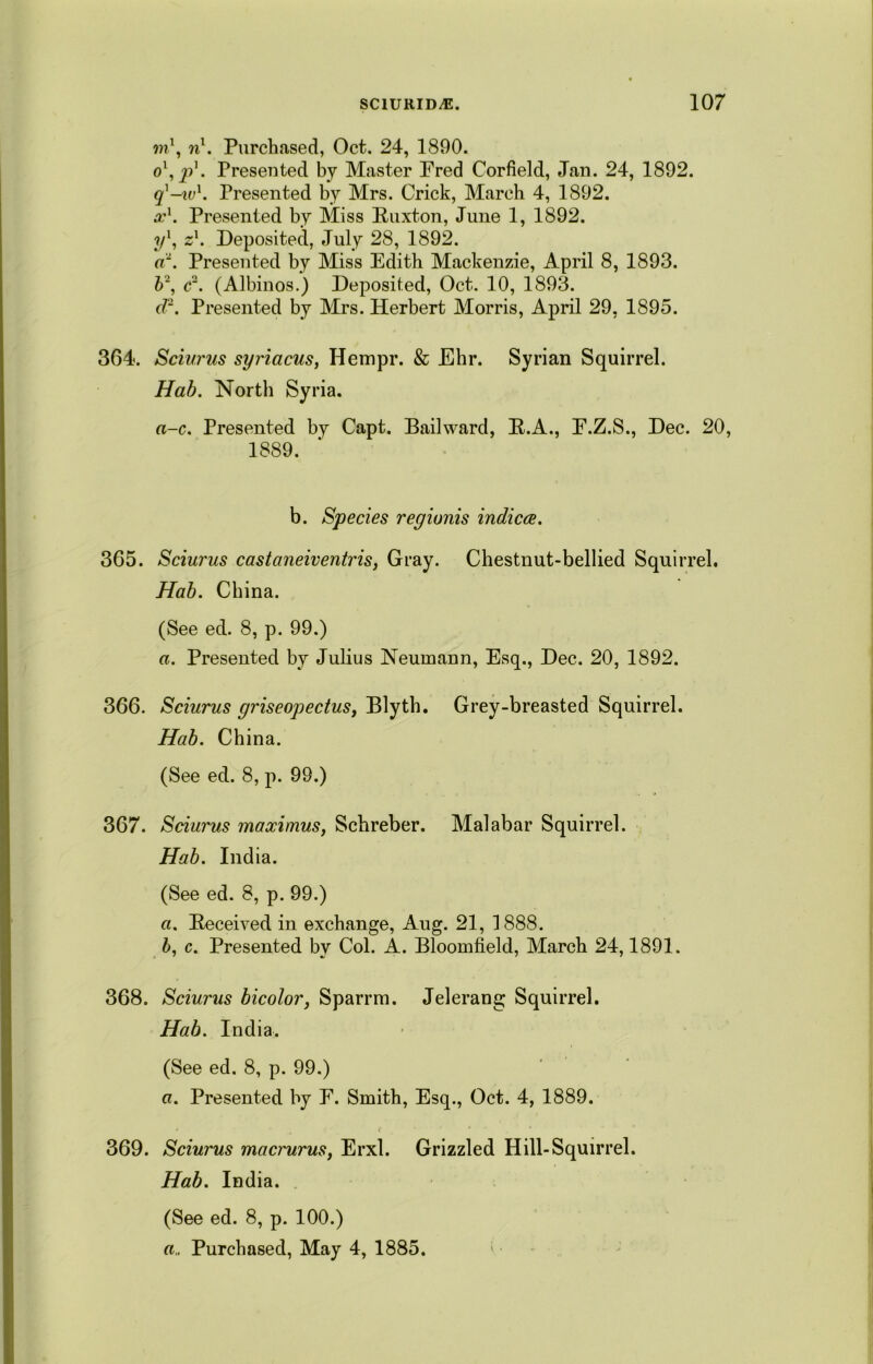 m1, nl. Purchased, Oct. 24, 1890. o1,^1. Presented by Master Pred Corfield, Jan. 24, 1892. q'-iv1. Presented by Mrs. Crick, March 4, 1892. ocx. Presented by Miss Paxton, June 1, 1892. y\ z1. Deposited, July 28, 1892. a~. Presented by Miss Edith Mackenzie, April 8, 1893. b\ c~. (Albinos.) Deposited, Oct. 10, 1893. d\ Presented by Mrs. Herbert Morris, April 29, 1895. 364. Sciurus syriacus, Hempr. & Ehr. Syrian Squirrel. Hab. North Syria. a-c. Presented by Capt. Bailward, B.A., E.Z.S., Dec. 20, 1889. b. Species regionis indices. 365. Sciurus castaneiventris, Gray. Chestnut-bellied Squirrel. Hab. China. (See ed. 8, p. 99.) a. Presented by Julius Neumann, Esq., Dec. 20, 1892. 366. Sciurus griseopectus, Blyth. Grey-breasted Squirrel. Hab. China. (See ed. 8, p. 99.) 367. Sciurus maocimus, Schreber. Malabar Squirrel. Hab. India. (See ed. 8, p. 99.) a. Deceived in exchange, Aug. 21, 1888. b, c. Presented by Col. A. Bloomfield, March 24,1891. 368. Sciurus bicolor, Sparrm. Jelerang Squirrel. Hab. India. (See ed. 8, p. 99.) a. Presented by E. Smith, Esq., Oct. 4, 1889. 369. Sciurus macrurus, Erxl. Grizzled Hill-Squirrel. Hab. India. (See ed. 8, p. 100.) a„ Purchased, May 4, 1885.