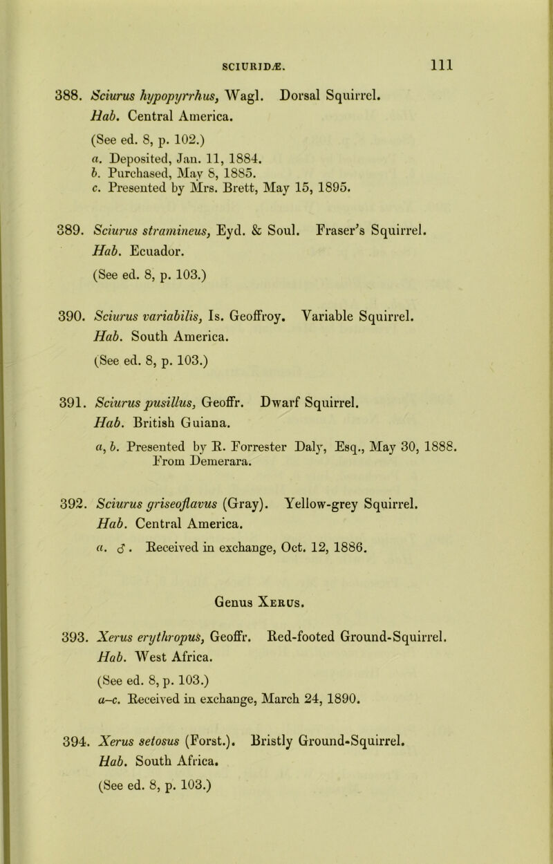 388. Sciui'us hypopyrrhus, Wagl. Dorsal Squirrel. Hab. Central America. (See ed. 8, p. 102.) a. Deposited, Jan. 11, 1884. b. Purchased, May 8, 1885. c. Presented by Mrs. Brett, May 15, 1895. 389. Sciw'us stramineus, Eyd. & Soul. Fraser's Squirrel. Hab. Ecuador. (See ed. 8, p. 103.) 390. Sciurus variabilis, Is. Geoffroy. Variable Squirrel. Hab. South America. (See ed. 8, p. 103.) 391. Sciurus pusillus, Geoffr. Dwarf Squirrel. Hab. British Guiana. ct, b. Presented by B. Forrester Daly, Esq., May 30, 1888. From Demerara. 392. Sciurus griseoflavus (Gray). Yellow-grey Squirrel. Hab. Central America. a. <S . Deceived in exchange, Oct. 12, 1886. Genus Xerus. 393. Xerus erythropus, Geoffr. Bed-footed Ground-Squirrel. Hab. West Africa. (See ed. 8, p. 103.) a-c. Deceived in exchange, March 24, 1890. 394. Xerus setosus (Forst.). Bristly Ground-Squirrel. Hab. South Africa.