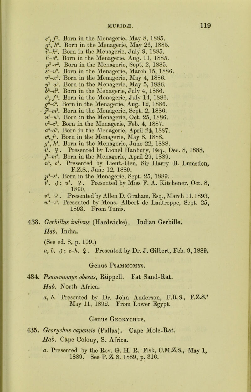 e2,/2. Born in the Menagerie, May 8, 1885. g“, li2. Born in the Menagerie, May 26, 1885. i2-k'2. Born in the Menagerie, July 9, 1885. Z2-o2. Born in the Menagerie, Aug. 11, 1885. p2-r2. Born in the Menagerie, Sept. 2, 1885. s*-u2. Born in the Menagerie, March 15, 1886. v2-x2. Born in the Menagerie, May 4, 1886. y2-a3. Born in the Menagerie, May 5, 1886. 63-c73. Born in the Menagerie, July 4, 1886. e3, f3. Born in the Menagerie, July 14, 1886. g3-i3. Born in the Menagerie, Aug. 12, 1886. f-m3. Born in the Menagerie, Sept. 2, 1886. n3-u3. Born in the Menagerie, Oct. 25, 1886. v3-z3. Born in the Menagerie, Feb. 4, 1887. a4-d4. Born in the Menagerie, April 24,1887. e4,/4. Born in the Menagerie, May 8, 1888. g4, h4. Born in the Menagerie, June 22, 1888. i4. 2 • Presented by Lionel Hanbury, Esq., Dec. 8, 1888. j4-m4. Born in the Menagerie, April 29, 1889. n4, o4. Presented by Lieut.-Glen. Sir Harry B. Lumsden, E.Z.S., June 12, 1889. p4-s4. Born in the Menagerie, Sept. 25, 1889. t4. S'; id. $ . Presented by Miss F. A. Kitchener, Oct. 8, 1890. v4. 5 . Presented by Allen D. Graham, Esq., March 11,1893. iu4-z4. Presented by Mons. Albert de Lautreppe, Sept. 25, 1893. From Tunis. 433. Gerbillus indicus (Hardwicke). Indian Gerbille. Hab. India. (See ed. 8, p. 109.) a, b. d ; c-h. 5 . Presented by Dr. J. Gilbert, Feb. 9,1889. Genus Psammomys. 434. Psammomys obesus, Biippell. Fat Sand-Rat. Hab. North Africa. a, b. Presented by Dr. John Anderson, F.R.S., F.Z.S.’ May 11, 1892. From Lower Egypt. Genus Georychus. 435. Georychus capensis (Pallas). Cape Mole-Rat. Hab. Cape Colony, S. Africa. a. Presented by the Rev. G. H. R. Fisk, C.M.Z.S., May 1, 1889. See P. Z. S. 1889, p. 316.